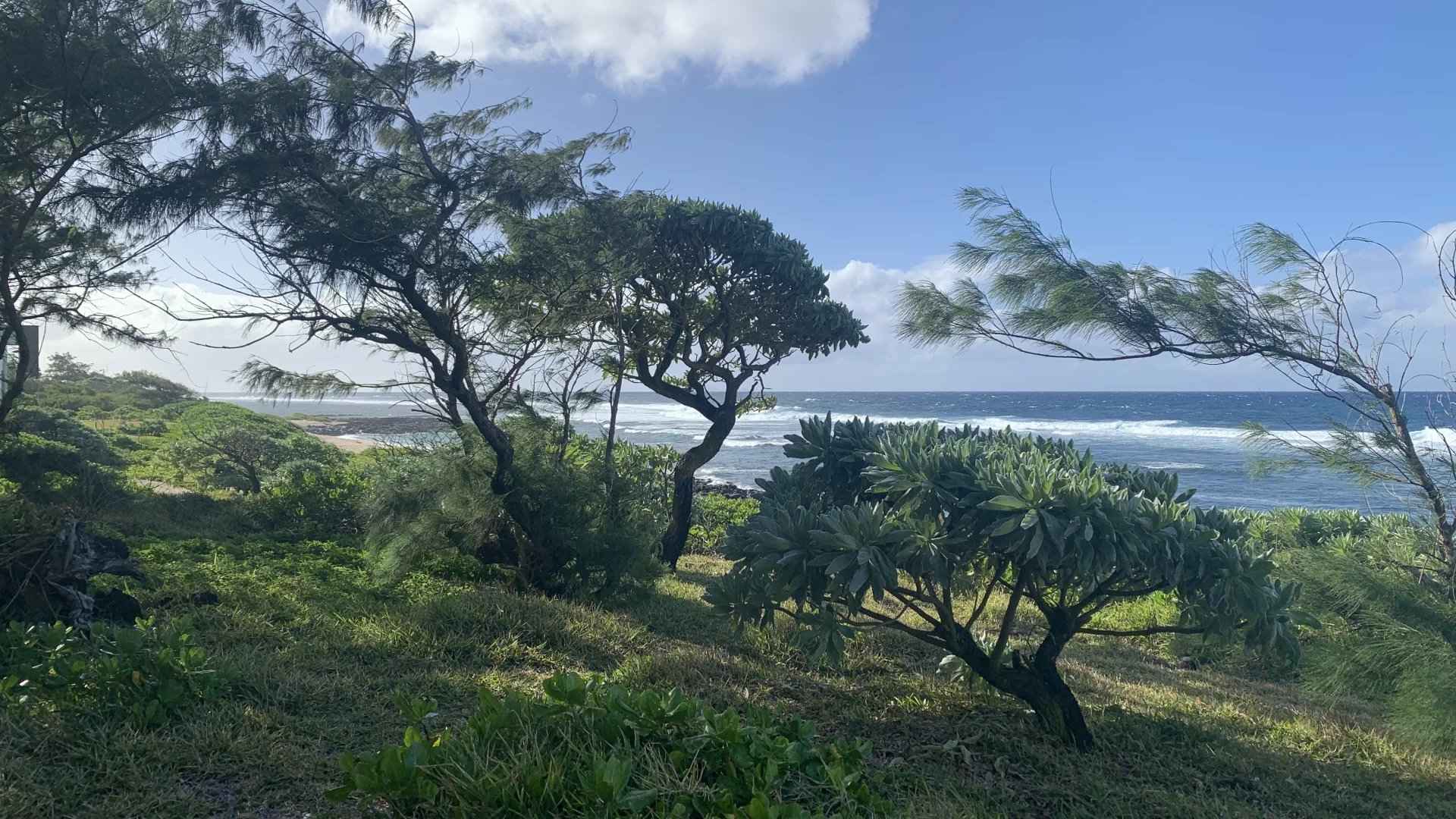 E2b28855c9a1b50971755d2fd97061b9 f0f0ff9d4d 1920 original - Translation missing: en.helpers.application.image_tag.default_alt