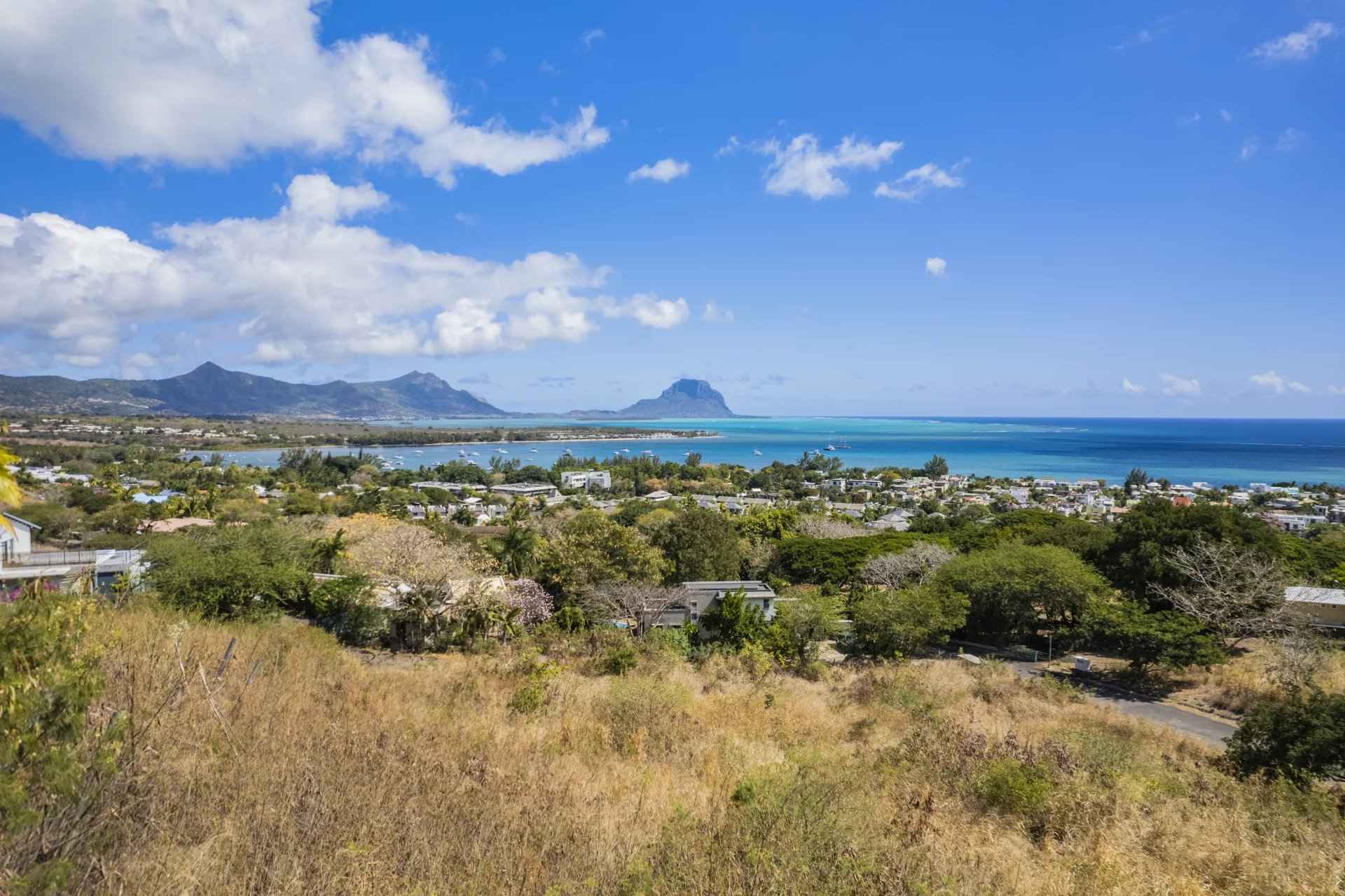 Cdb11184a2aedc55f8acbc9b708280a2 8410a72629 1920 original - Translation missing: en.helpers.application.image_tag.default_alt