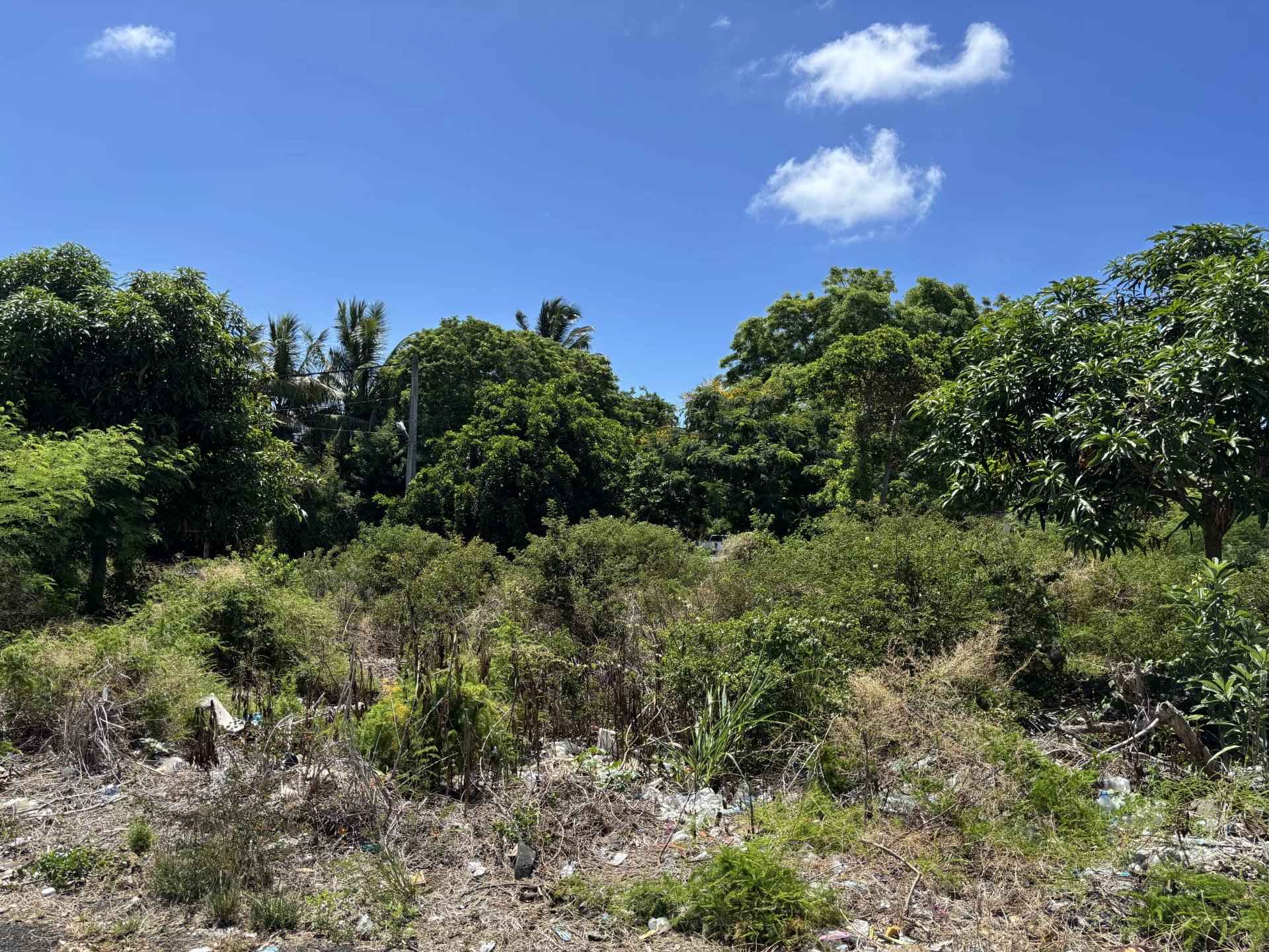 8f0c9b765523cf7b27397e6458b9f9e4 71c17e5cc7 1920 original - Translation missing: en.helpers.application.image_tag.default_alt