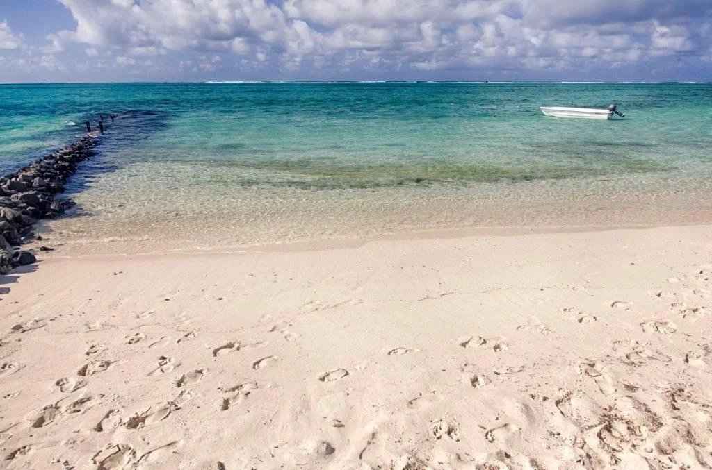 5575855b24d45eb4e42230c4cb89158c 9a0857d14b 1024 original - Translation missing: en.helpers.application.image_tag.default_alt