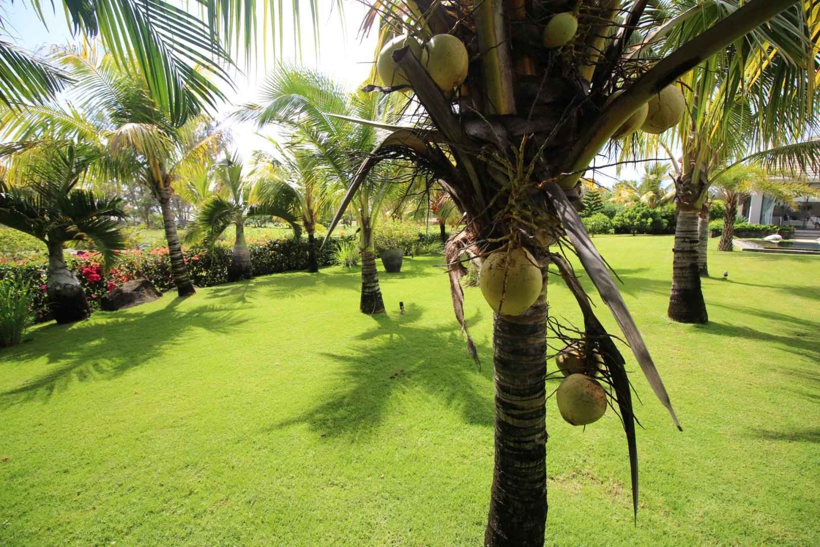 17d09c7bddc34afa84b733f25ae4464b 7218751a7a 1620 original - Translation missing: en.helpers.application.image_tag.default_alt