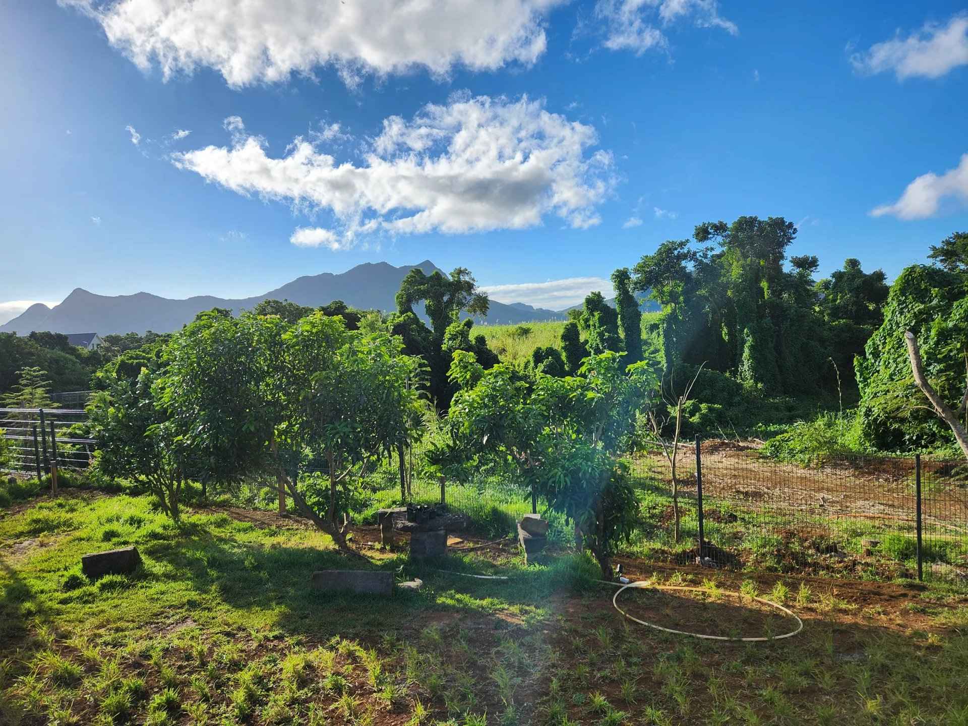 70925f66a0d61d1f94b31bdc407d6cfb 5614be6bde 1920 original - Translation missing: en.helpers.application.image_tag.default_alt