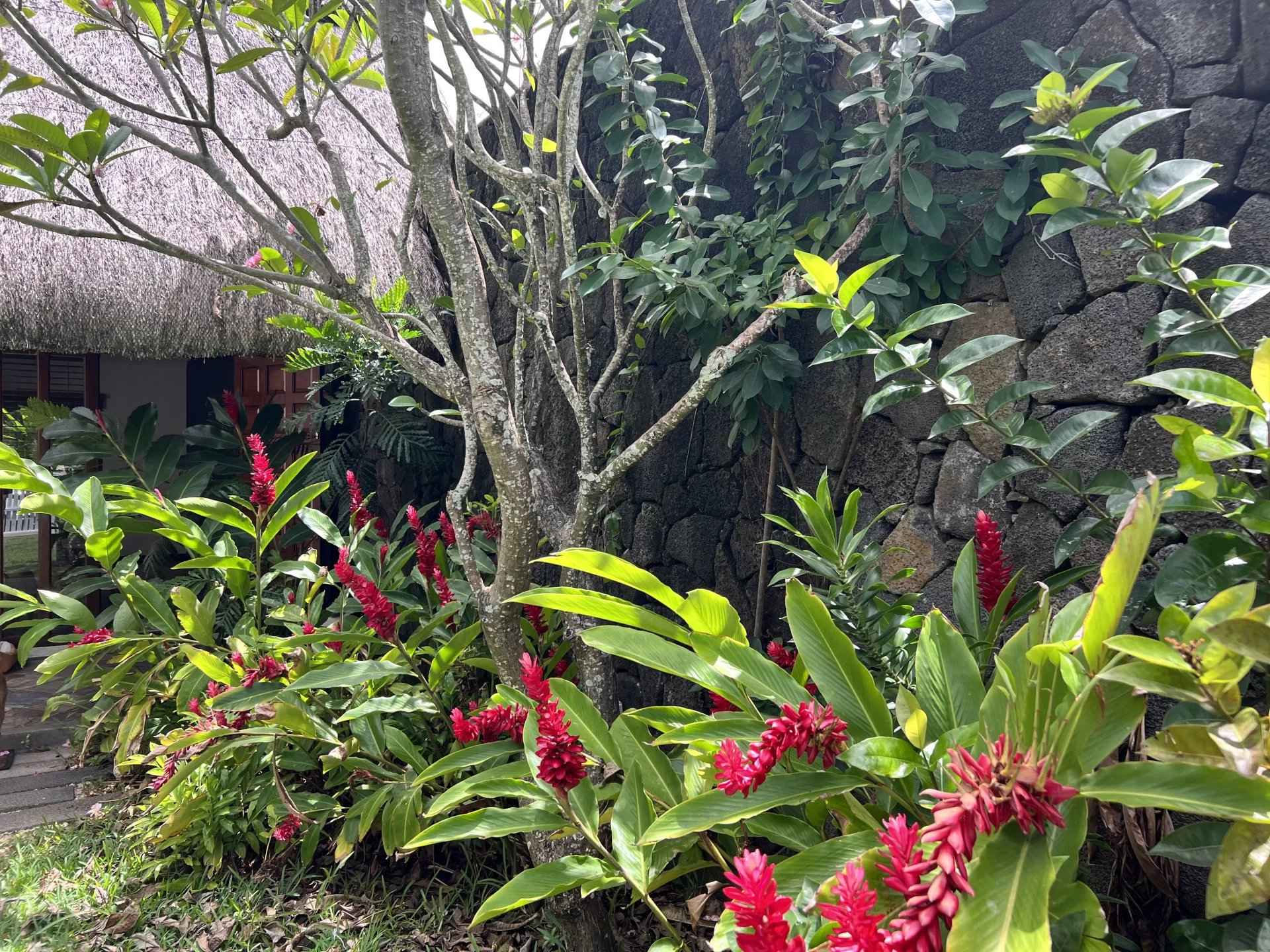 277720b2fd96075b351e3c52a42ad9b1 0e98fe28ed 1920 original - Attribut alt par défaut.