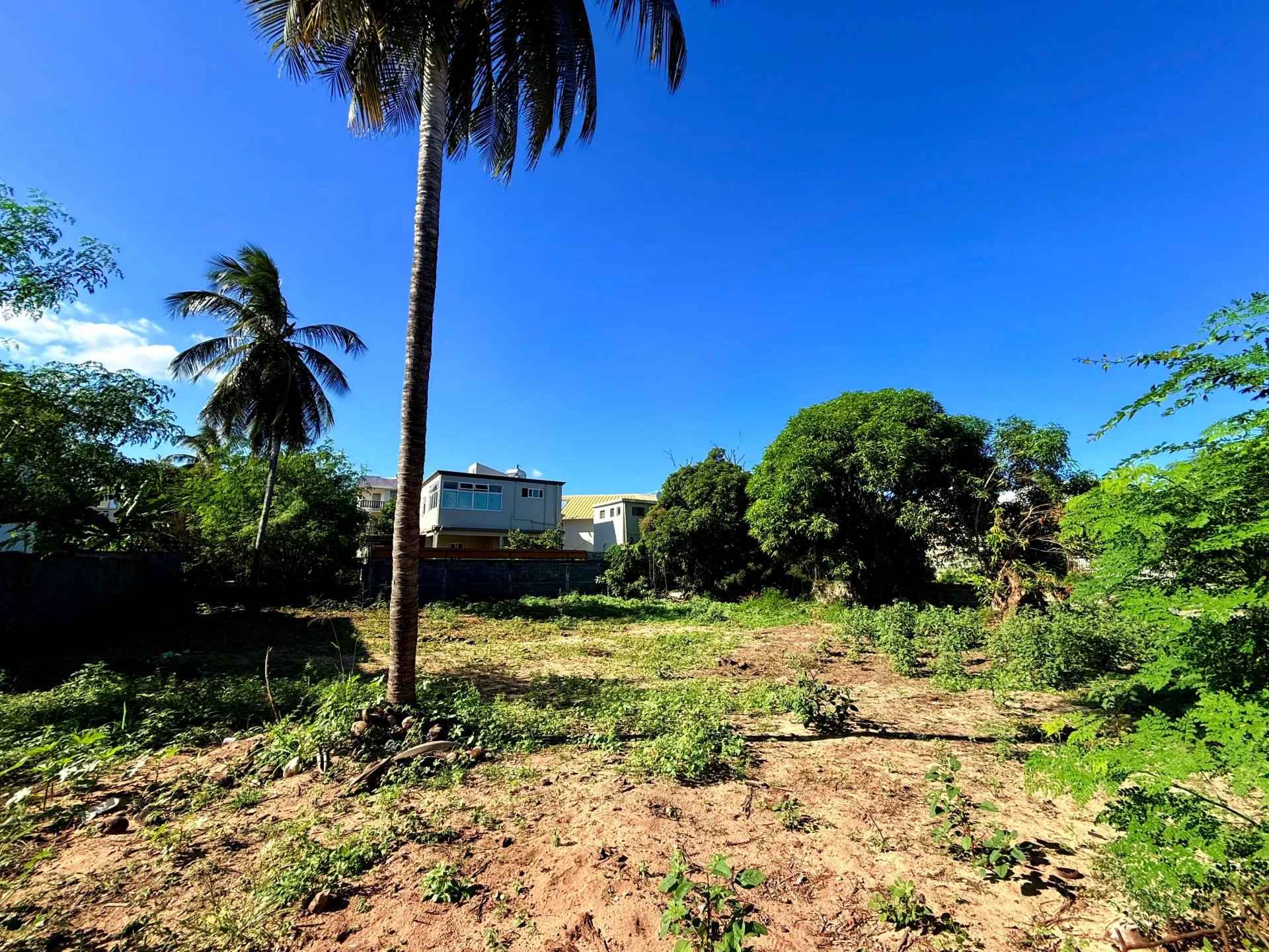 B913119e2de55d40635118971e17119f 5ba3c5a45c 1920 original - Translation missing: en.helpers.application.image_tag.default_alt