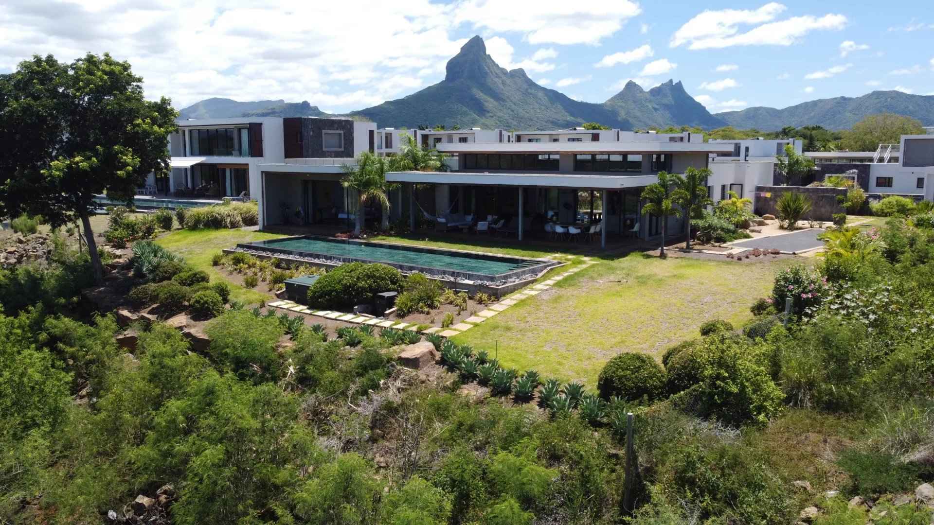 Buy in Tamarin Buy in Tamarin