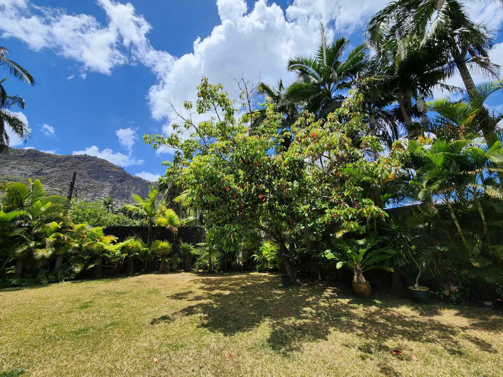 B5c553254173b97fa491c9d421258b81 3ed93202b1 1920 original - Translation missing: en.helpers.application.image_tag.default_alt