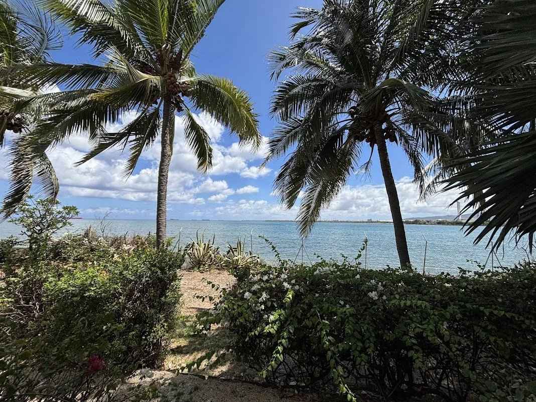 D6a32e1967e294b7e3aa8ed89401fa78 2dee5e6cda 1068 original - Attribut alt par défaut.