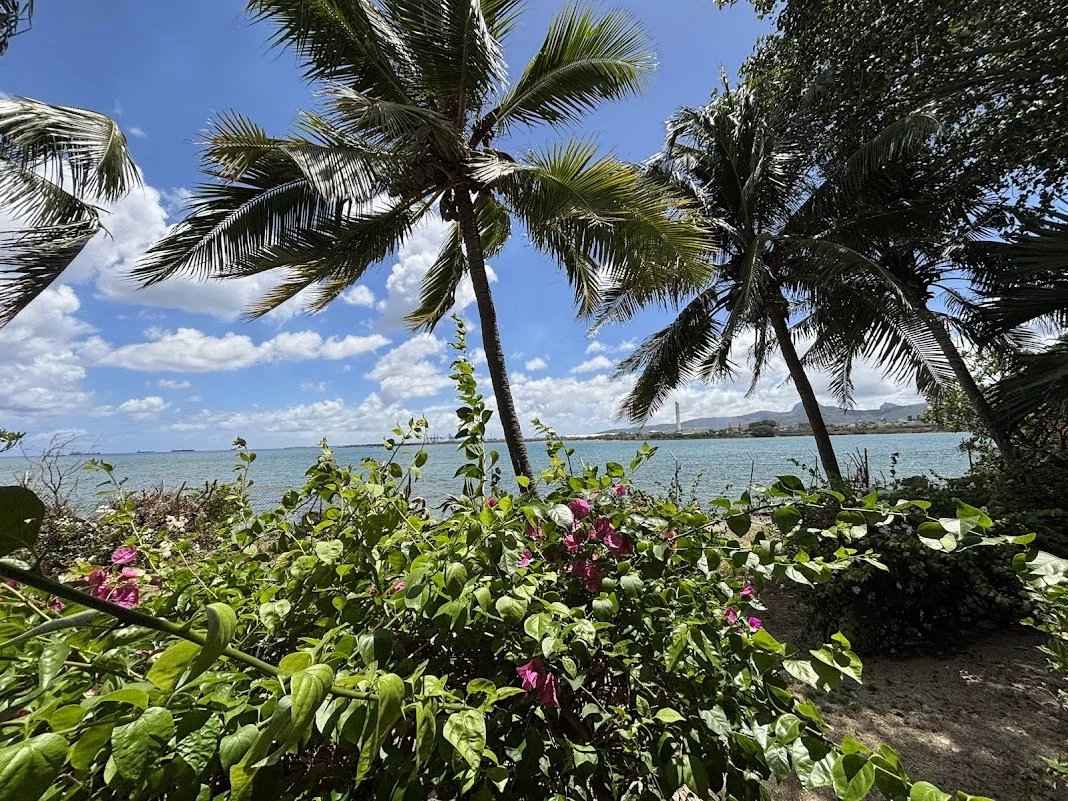 53333e76edfe4dc466b2087938f703ba 6b1c6bf2dd 1068 original - Attribut alt par défaut.