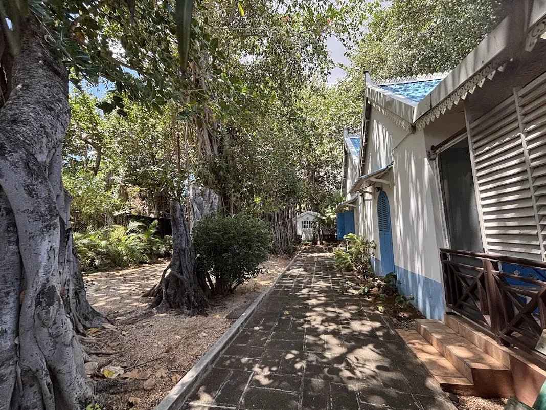 Dae7bbdbccebdc3a61c417cb0c5d9346 f949dde95b 1068 original - Attribut alt par défaut.