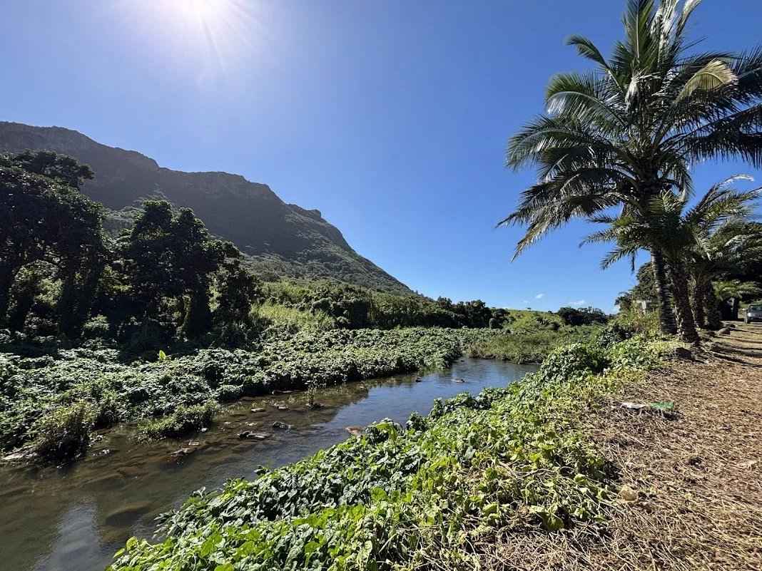 149c4008a077d1773501a665d8734c59 5952ba0ea6 1068 original - Translation missing: en.helpers.application.image_tag.default_alt