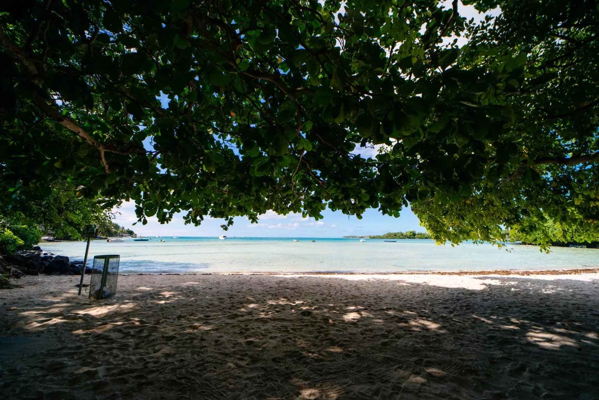 A5ef5610d167ad28ec49209efb6549de 0587e2e1cd 1920 original - Attribut alt par défaut.