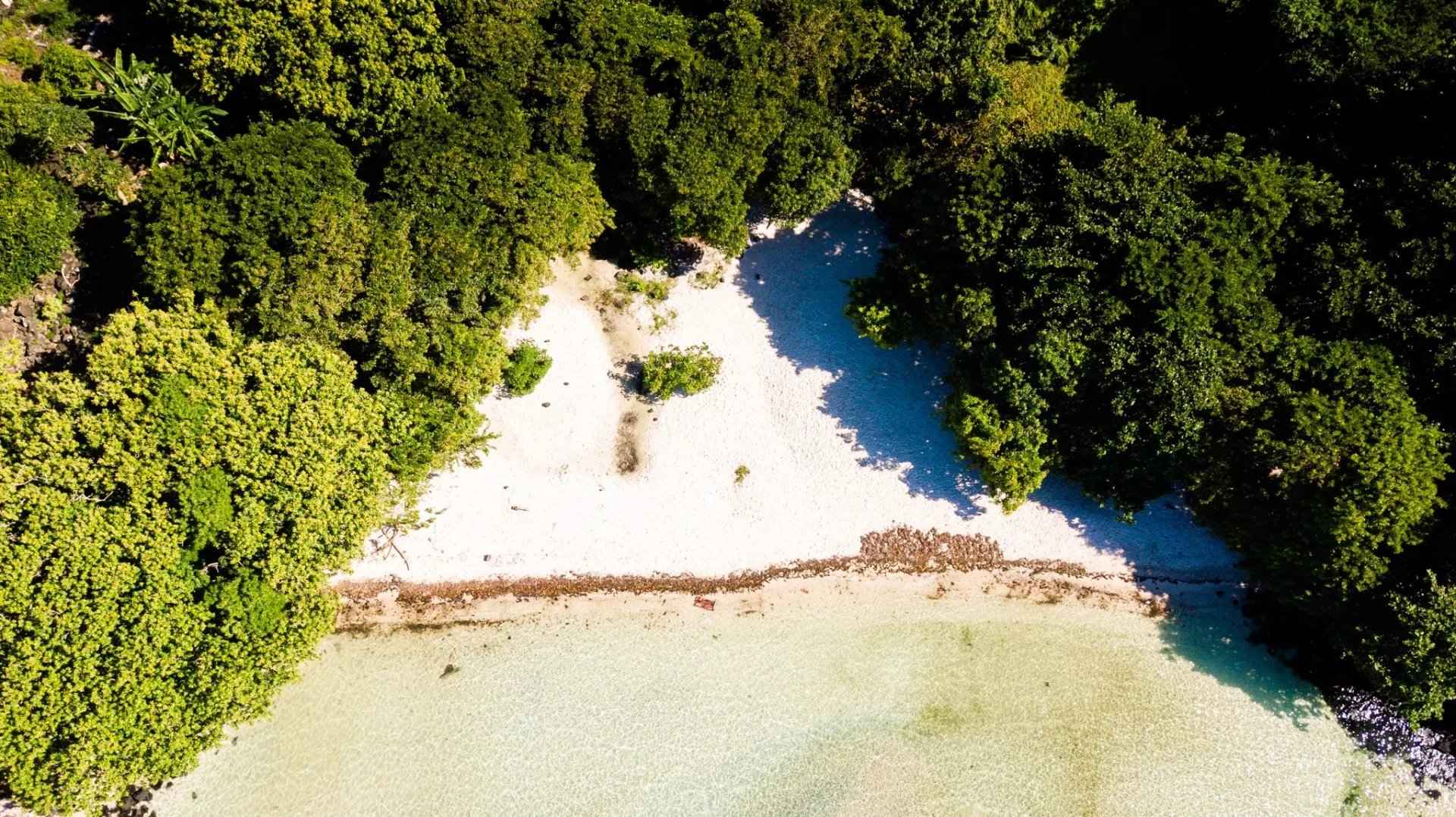 6843dabbe8029a004a3661bc853ff006 8a4f408908 1920 original - Attribut alt par défaut.