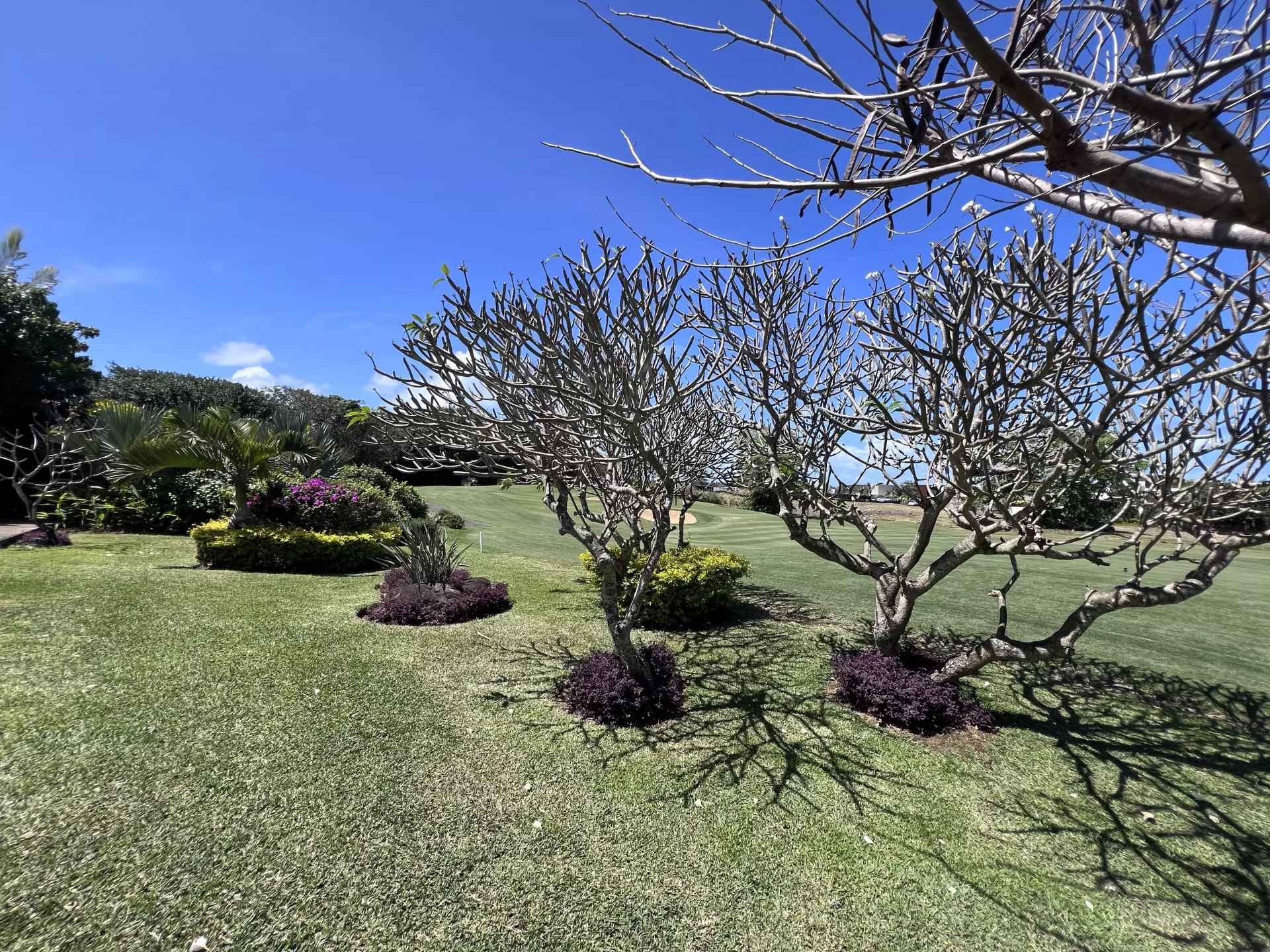 0f0f6ca8b33860112ce3539711dc9533 e24b083d05 1920 original - Attribut alt par défaut.