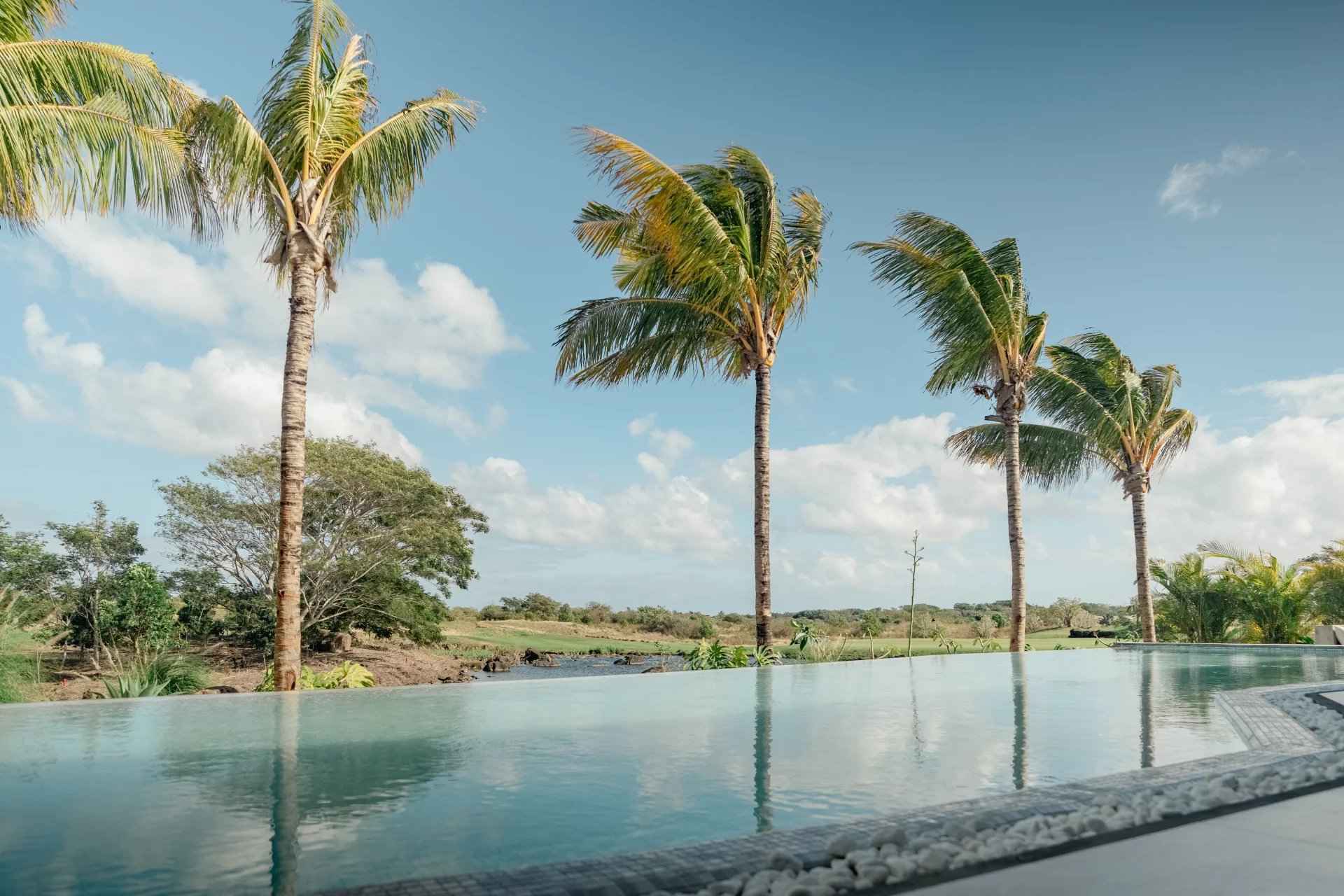 900485ed187ad7d37914f5d85d80ea6d 7912444e78 1920 original - Attribut alt par défaut.