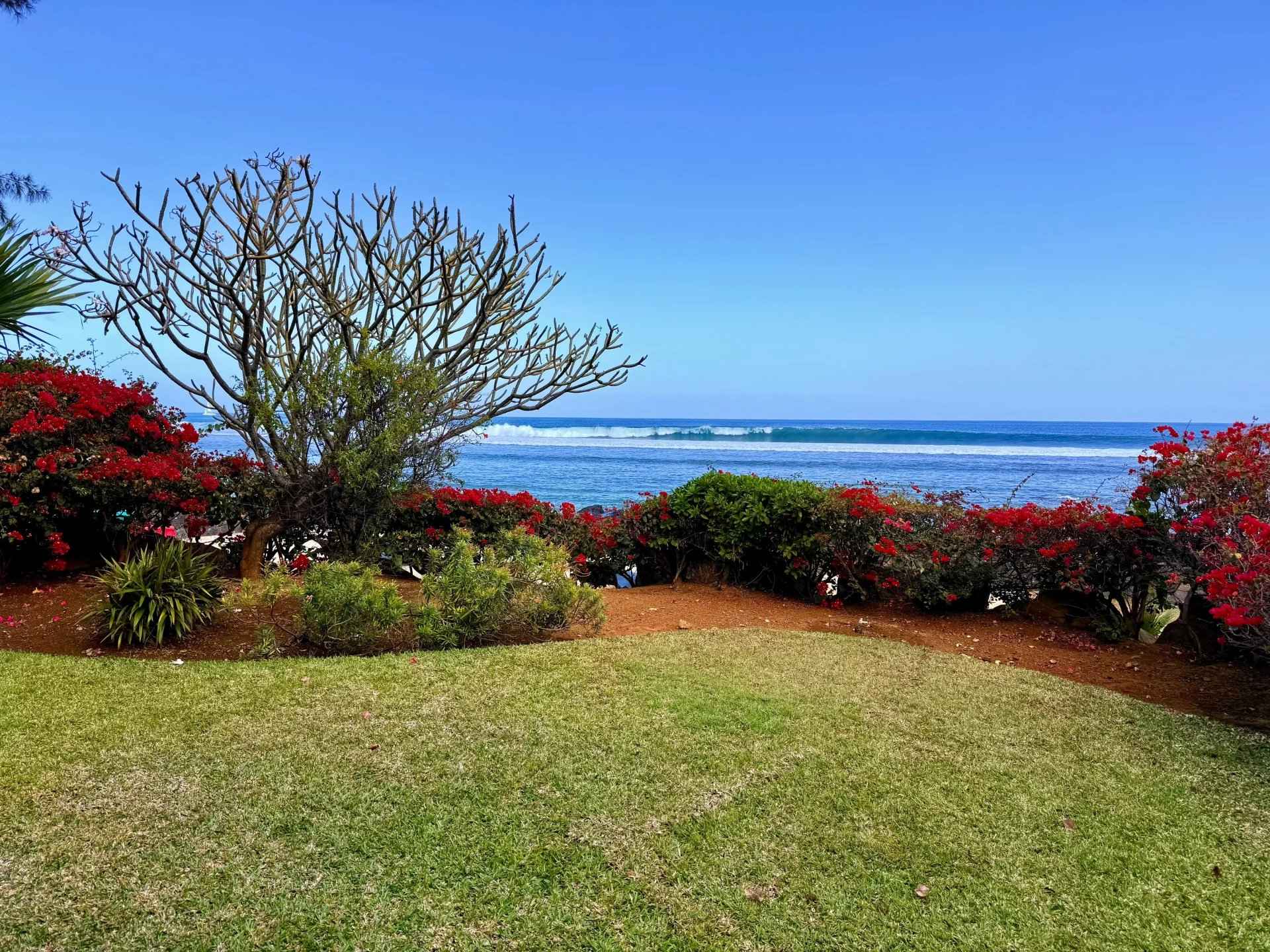 F656608187ec10bdfae207b7f184816b 0f4c64f101 1920 original - Attribut alt par défaut.