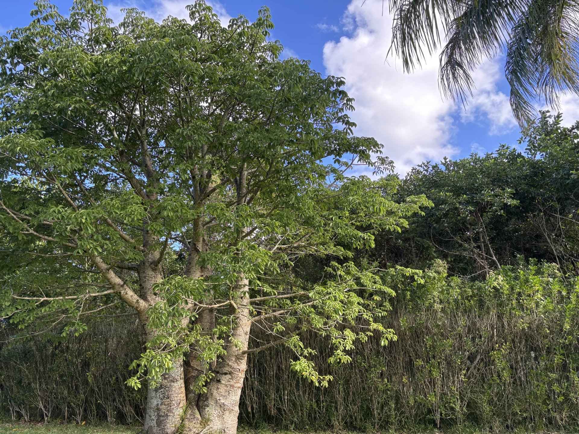 2e8115e998e5bf72257797abf8f5545a 63b3b84eda 1920 original - Attribut alt par défaut.