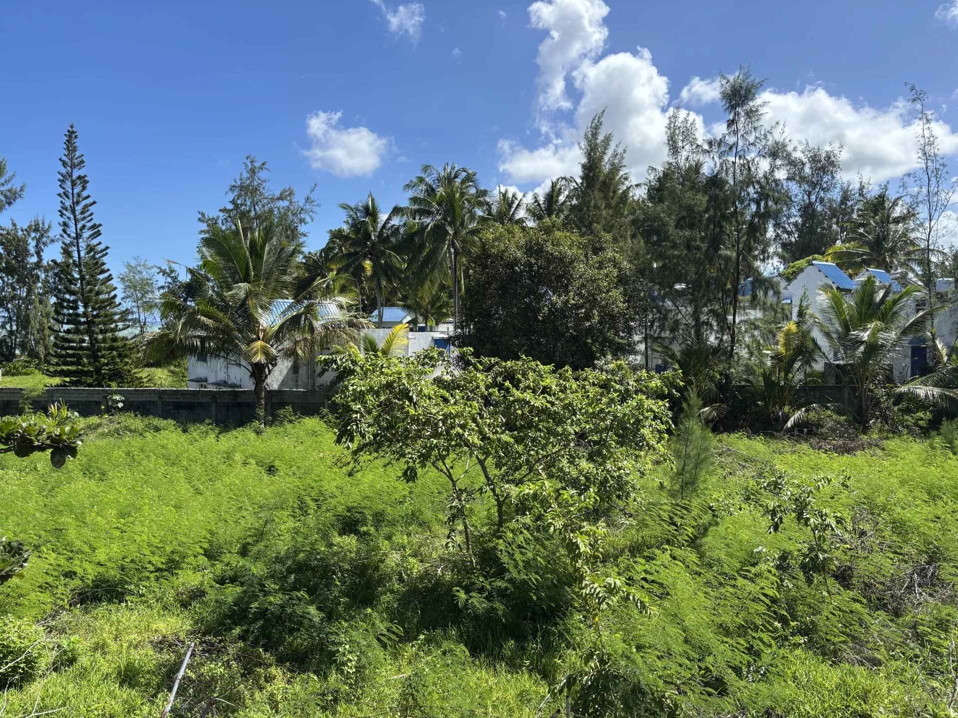 A81e19ee9a109bc5969b80aeb172940a a2c6d6170f 1920 original - Attribut alt par défaut.