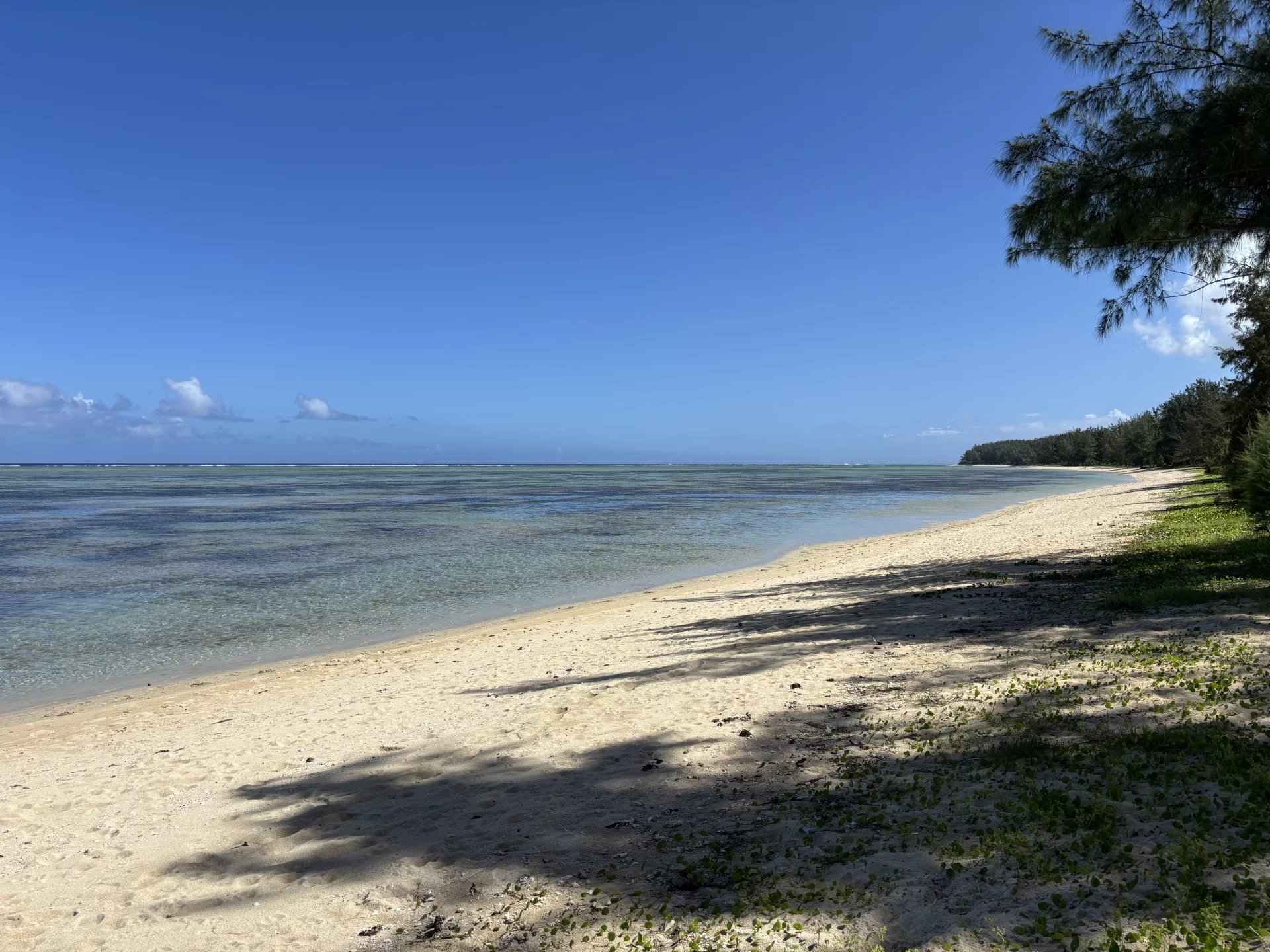 5de5f3c77d2a9696b2b7426b69d39f31 d090114d18 1920 original - Attribut alt par défaut.