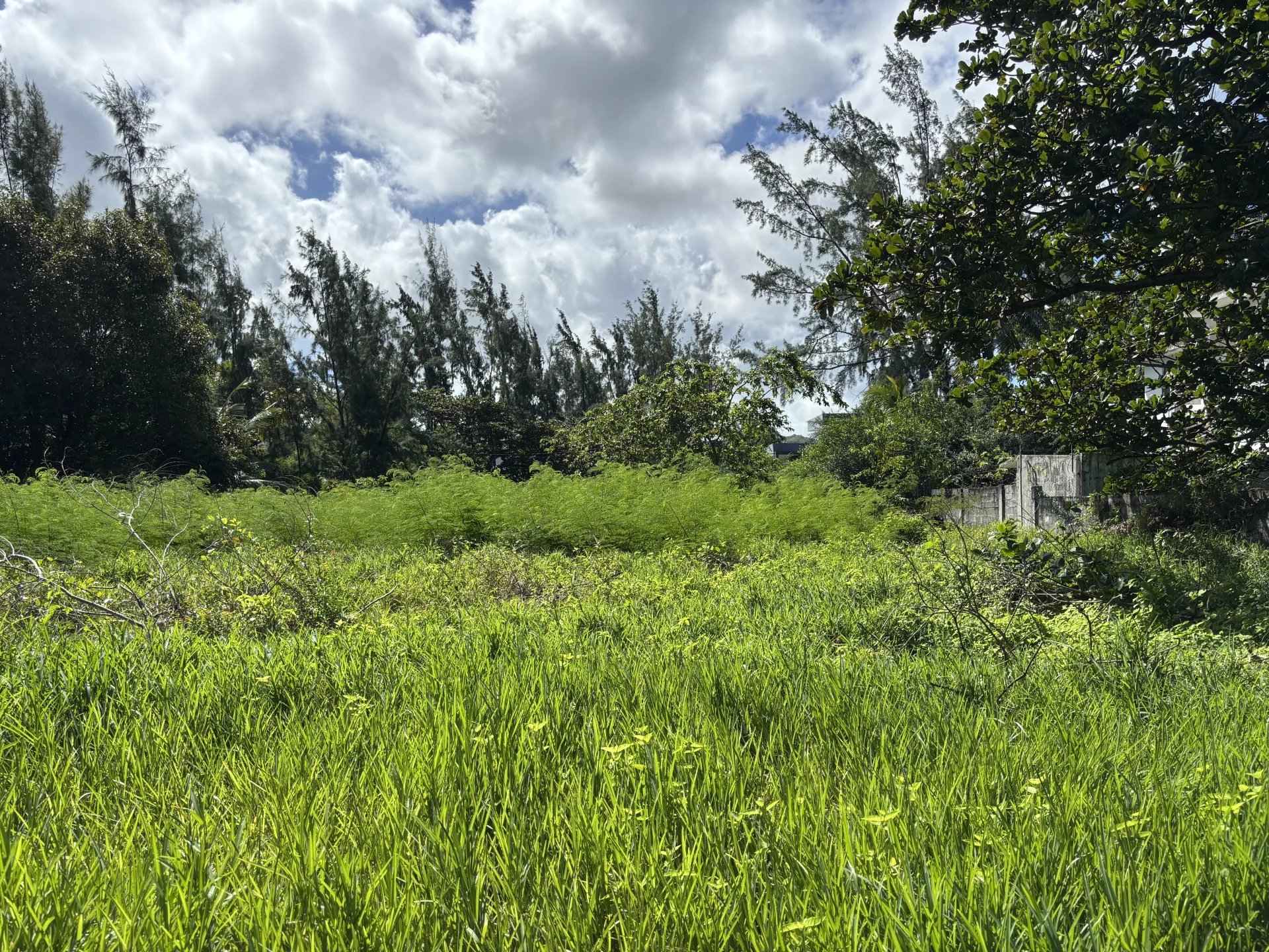 9b42d2ff0d88ed9d09b65fb5f87311bc ff1594eed6 1920 original - Attribut alt par défaut.