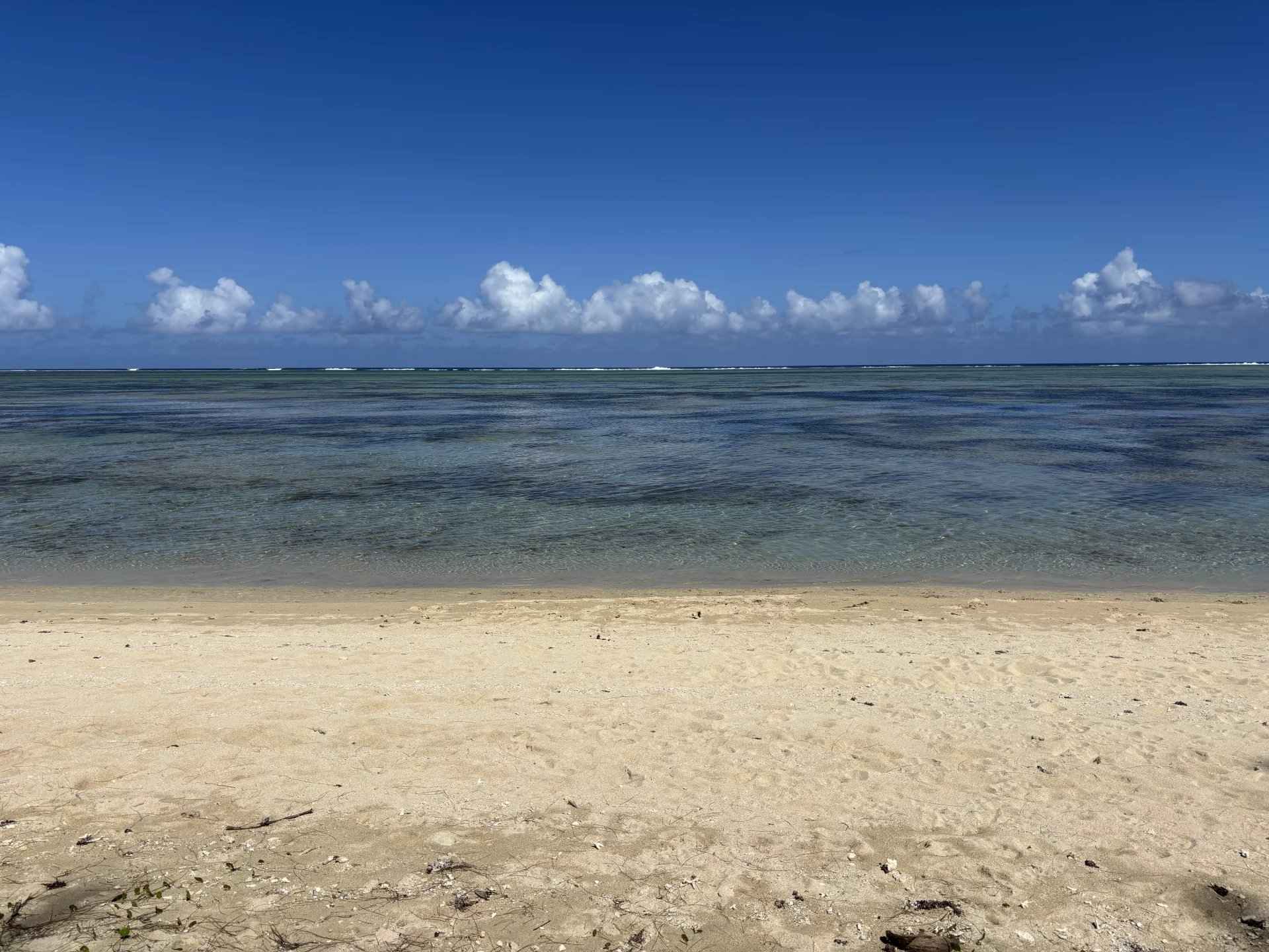 A20622adfcf47122fe0c742075132a01 67ee9ce657 1920 original - Attribut alt par défaut.