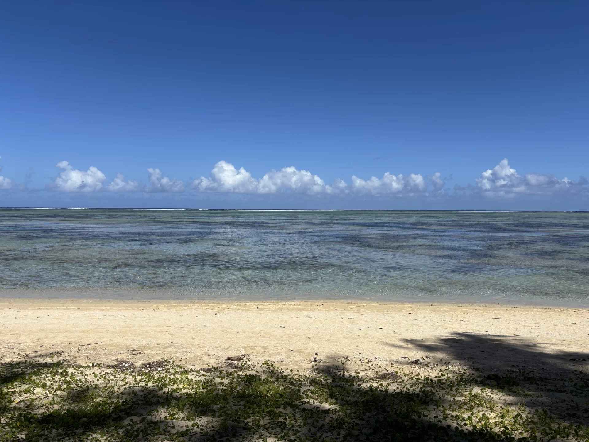 Aa7d2c75afb63dc5646b3d3dc1501885 dd137c956c 1920 original - Attribut alt par défaut.