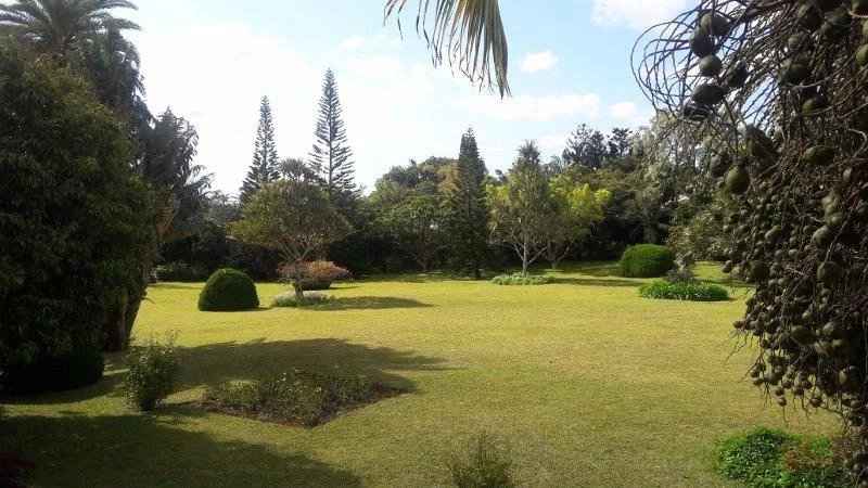 92e675792806017f095d3450ae937e5b 712fa4c023 800 original - Translation missing: en.helpers.application.image_tag.default_alt