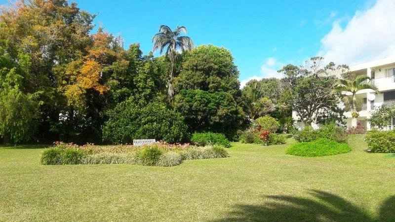 1f9e68eb975295685b4e65feb234166c d5df2050eb 800 original - Translation missing: en.helpers.application.image_tag.default_alt