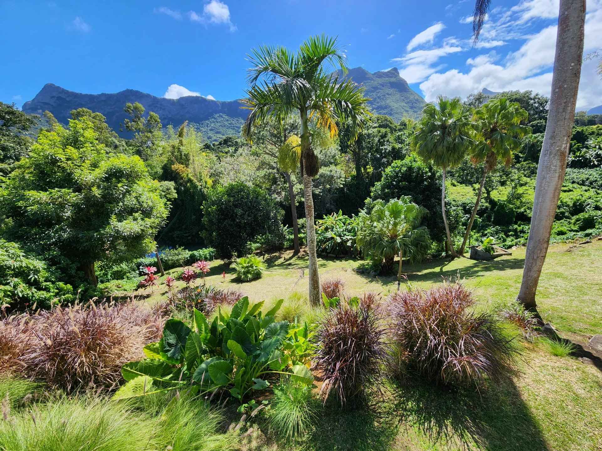 1353616133dfade55dc90f300e4b1456 d74cf03ddc 1920 original - Translation missing: en.helpers.application.image_tag.default_alt