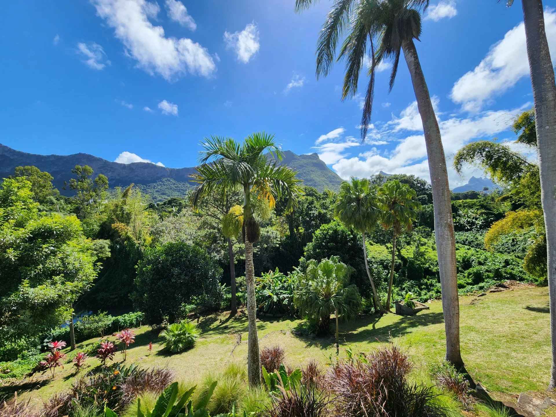 Cb1fd60ff3adb8390616a831d81af957 7714946540 1920 original - Translation missing: en.helpers.application.image_tag.default_alt