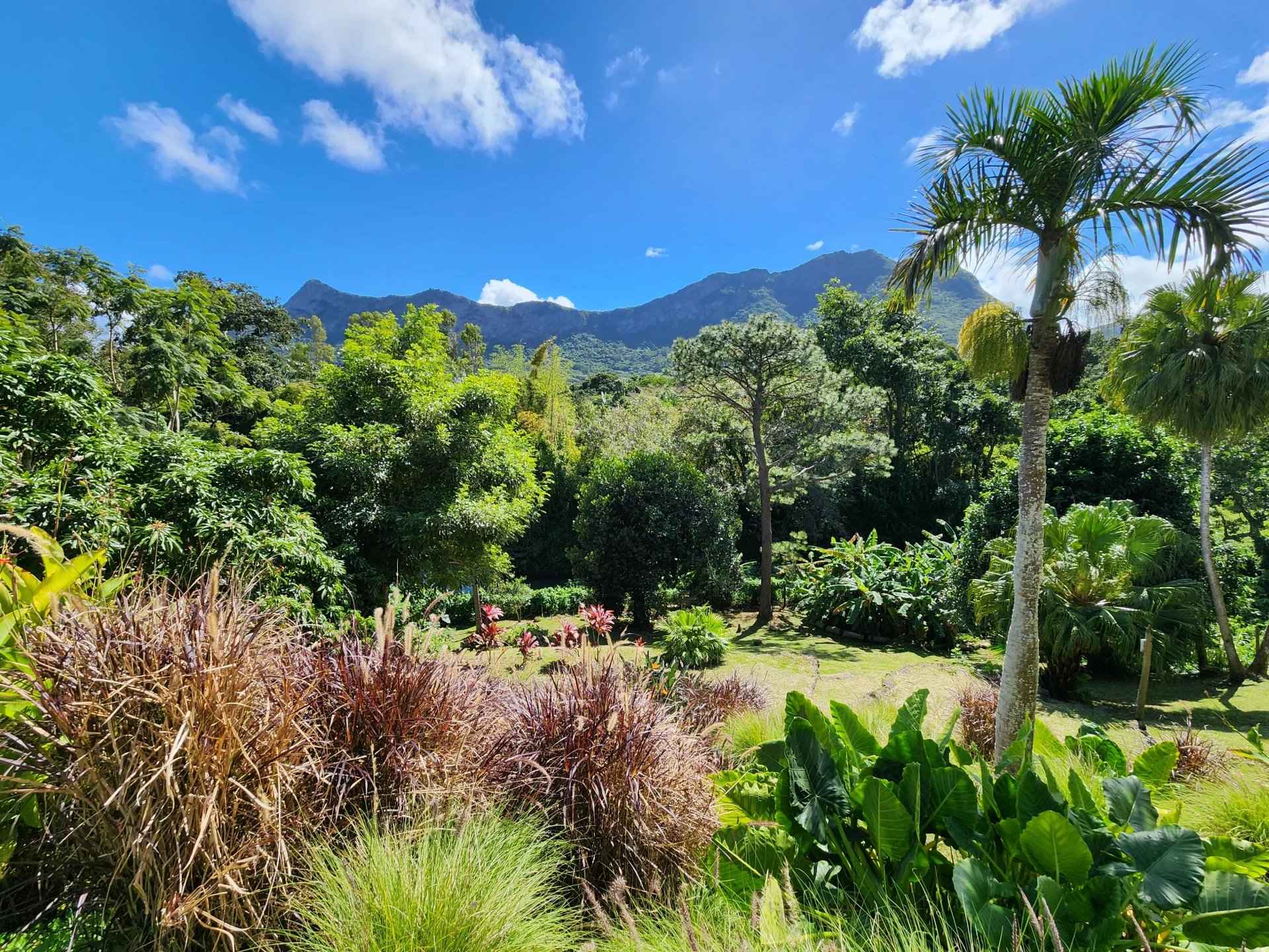 460f512cf6a988844cd842760edb3fc3 8835dd7672 1920 original - Translation missing: en.helpers.application.image_tag.default_alt