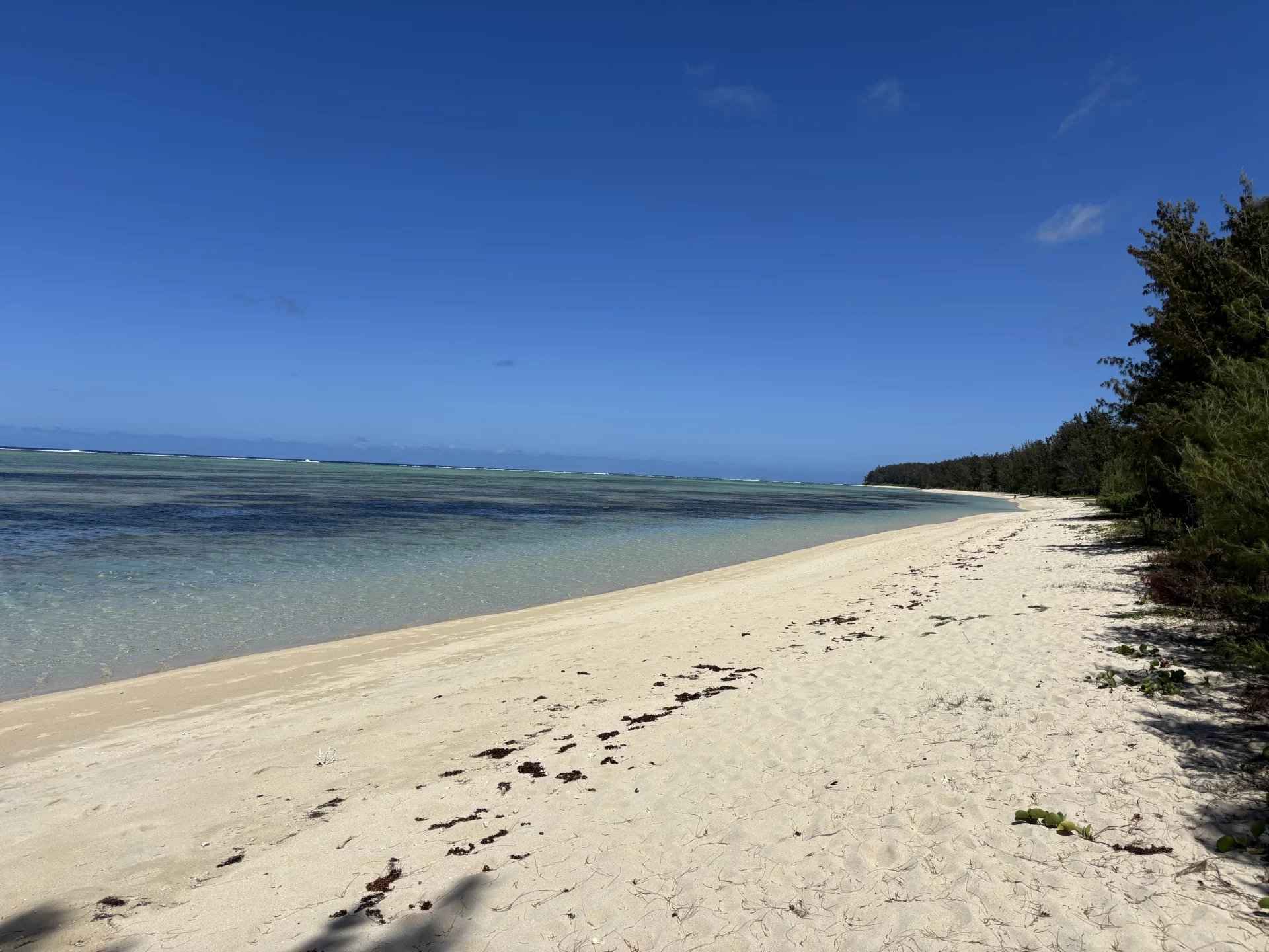 870d31903102b9d411e14671b03fa2b2 4091e6c5ca 1920 original - Attribut alt par défaut.