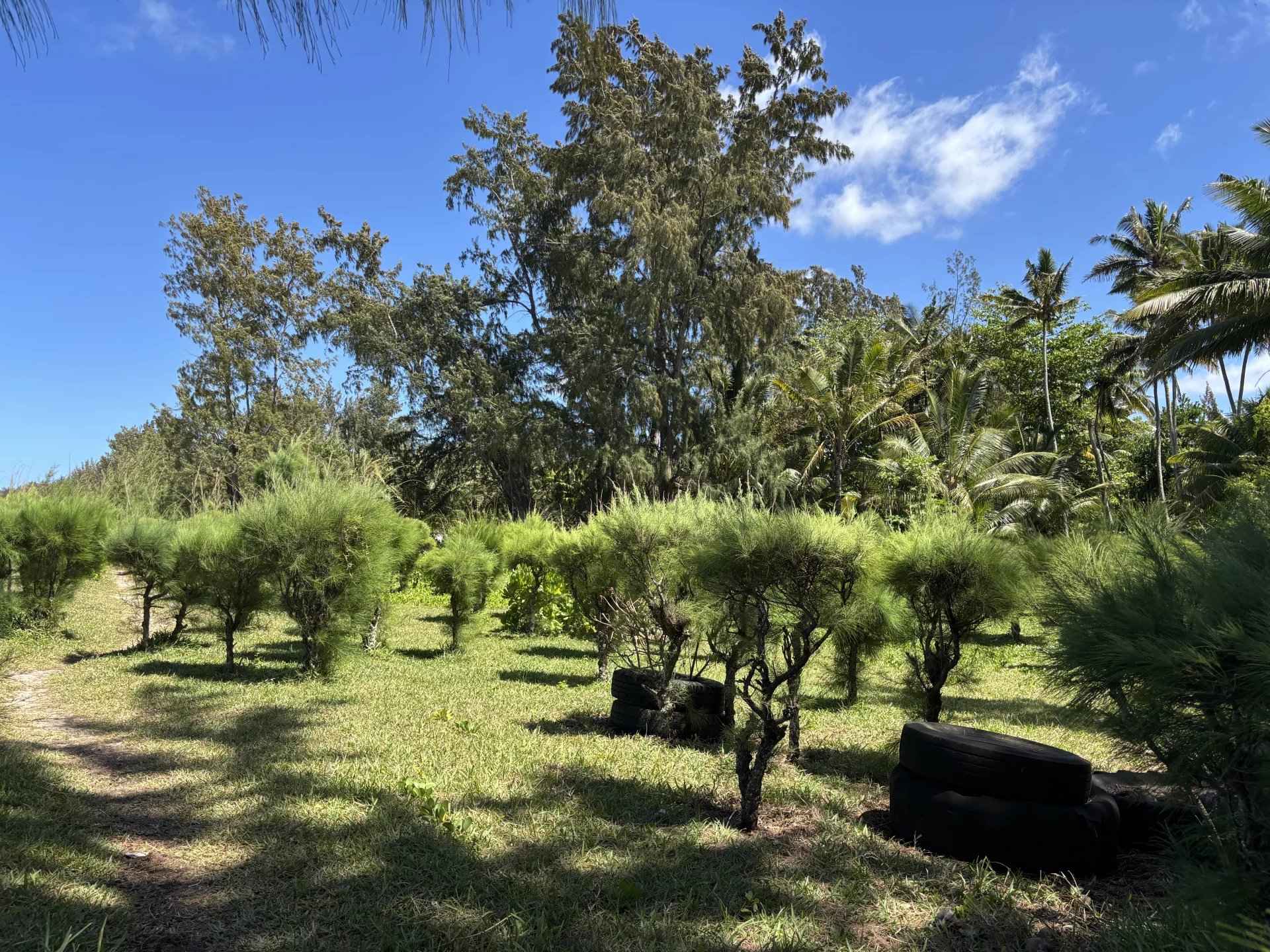 Beb5fee09515c7ae224c6a5e751a3ebb 236b41748e 1920 original - Attribut alt par défaut.