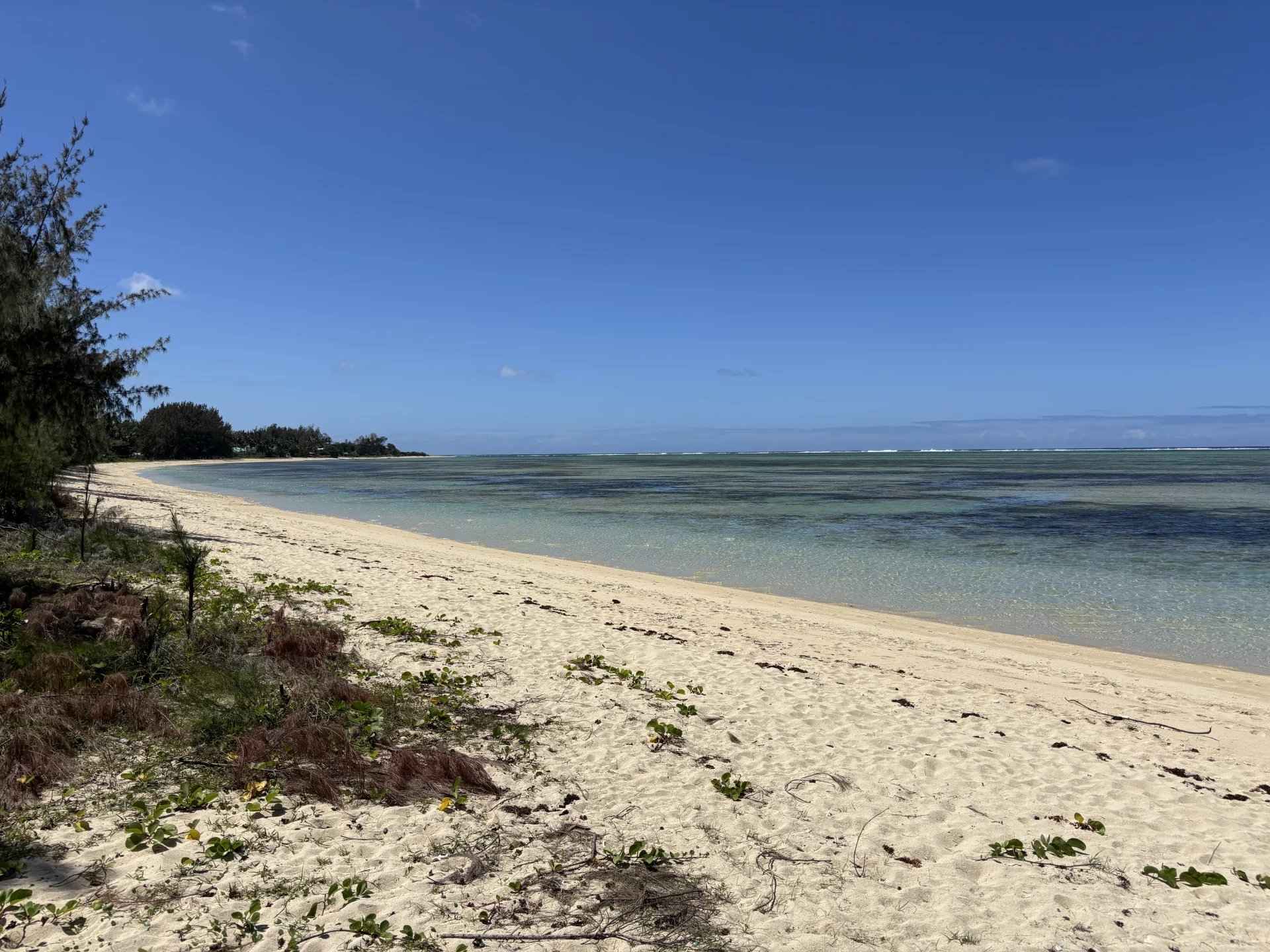 9e61e33394e3897f2388cd8620dc53f9 cadcbc74c3 1920 original - Attribut alt par défaut.