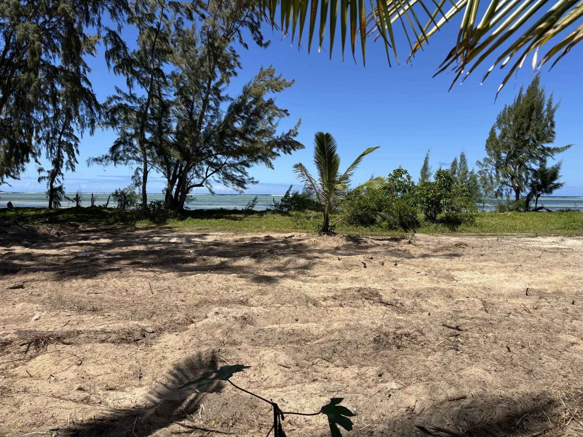 322a3db2864f933cd4255a1aebcc63d8 b0cc9c5387 1920 original - Attribut alt par défaut.