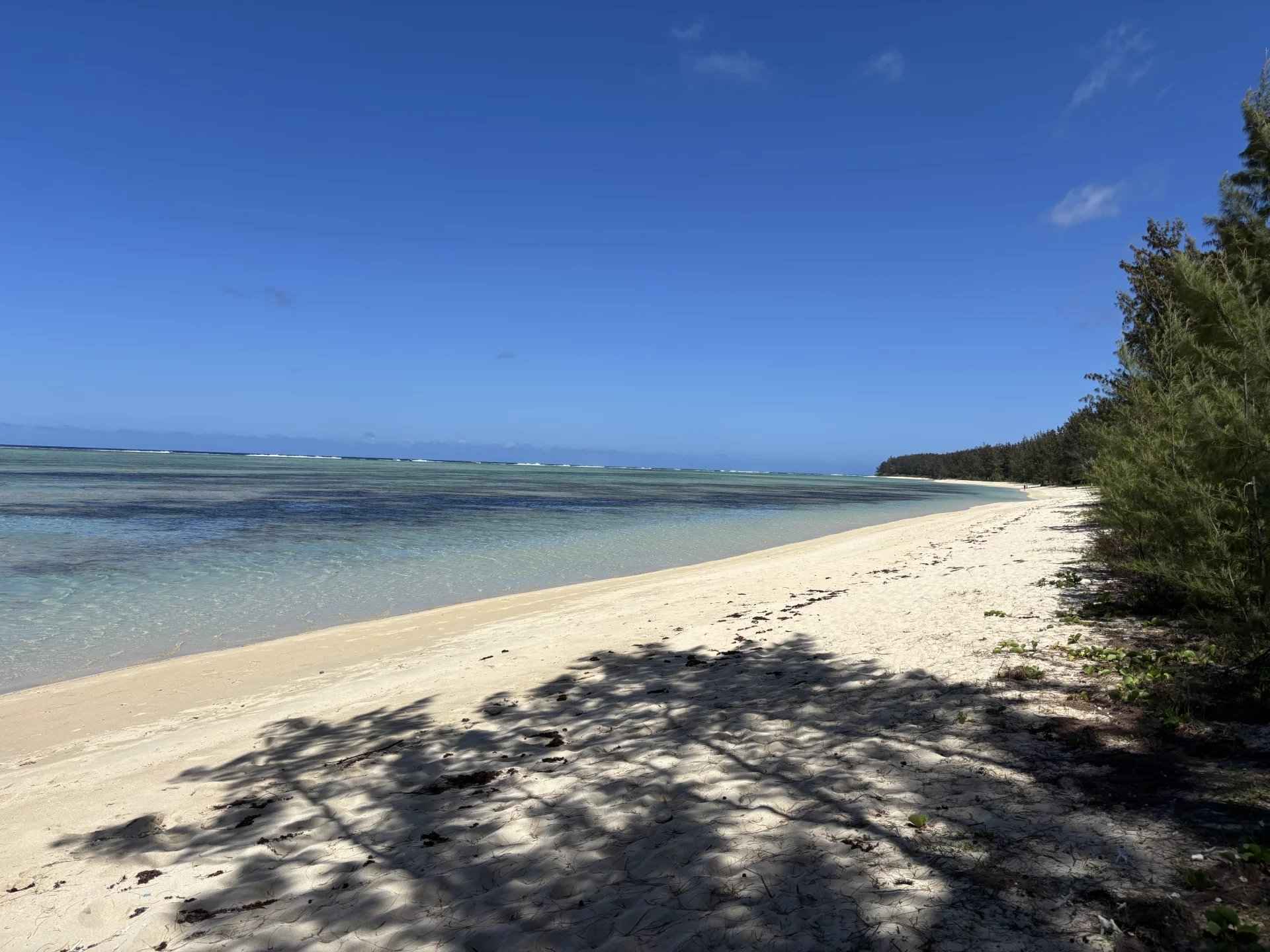 0c437a92e939f74431431c0781c9dbd4 4fa39ec403 1920 original - Attribut alt par défaut.