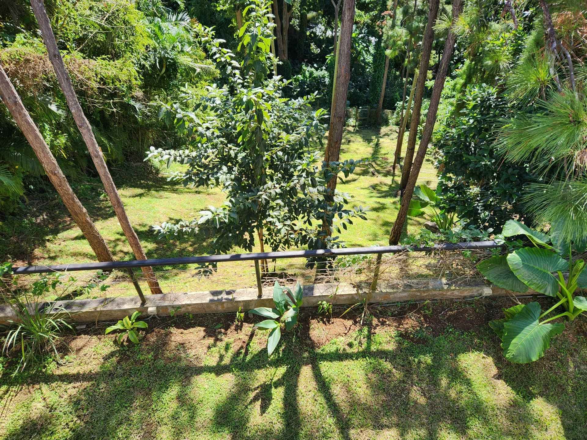 Bf65c3977518e03e50088638a1ed2863 e8b6ce0f92 1920 original - Attribut alt par défaut.