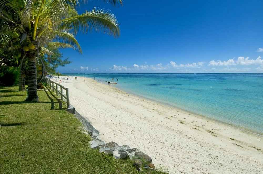 D321b82f7078275463ebbc36aa07042e f26e002385 1000 original - Attribut alt par défaut.