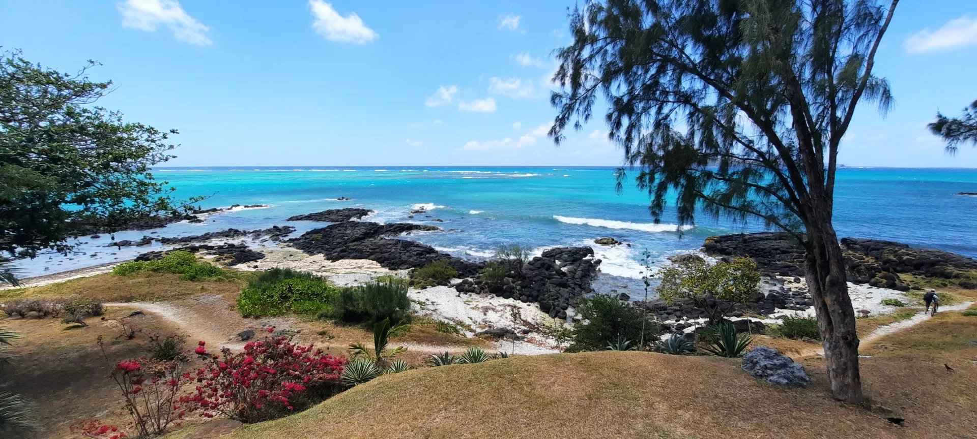 Ile maurice en mars - Attribut alt par défaut.