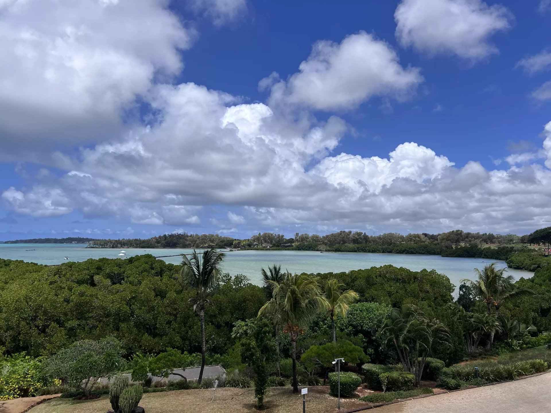 7d6a5a0c50b0e8a365c4fd992cd7f13f 7b8a88c25a 1920 original - Translation missing: en.helpers.application.image_tag.default_alt