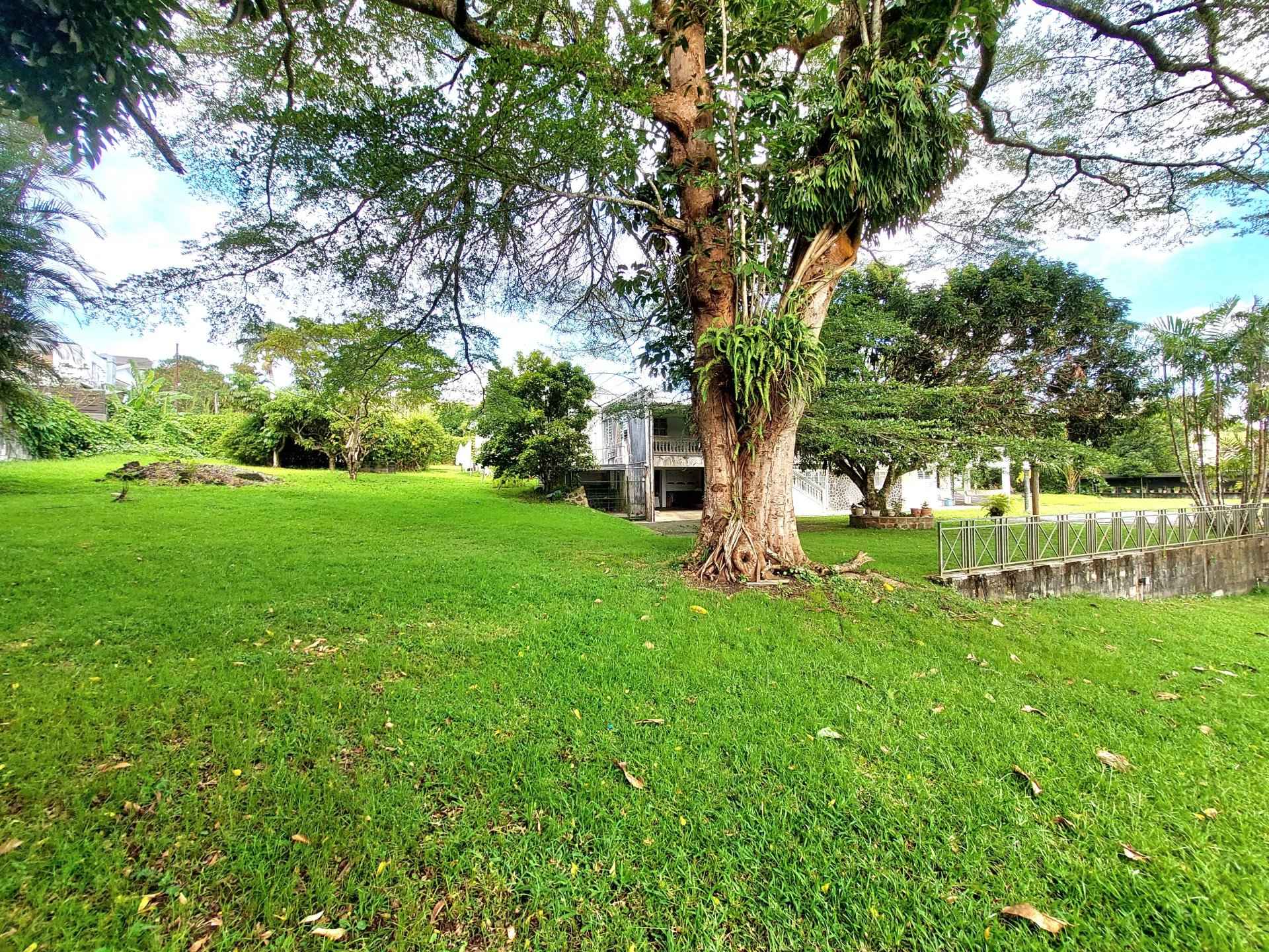 3f81d98ba8fe7791c203667c7bbf043b d3211b2db4 1920 original - Translation missing: en.helpers.application.image_tag.default_alt