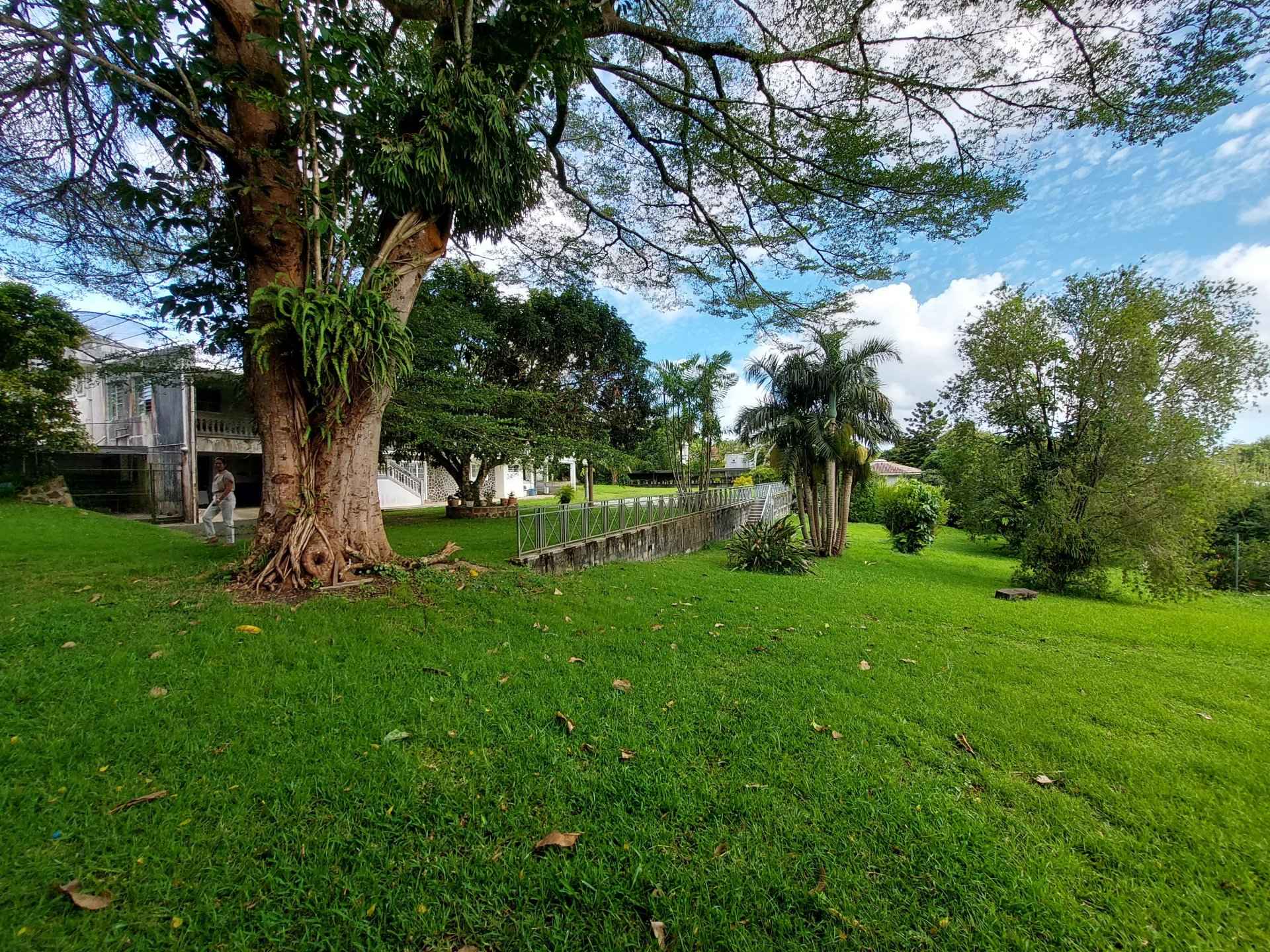 945f7a0013758ed0d66ae39ced3756a7 9f260e4c8d 1920 original - Translation missing: en.helpers.application.image_tag.default_alt