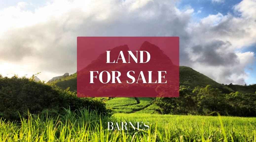 11e2a954bdc1c98f514d80137fe8b86d f901274953 1038 original - Attribut alt par défaut.