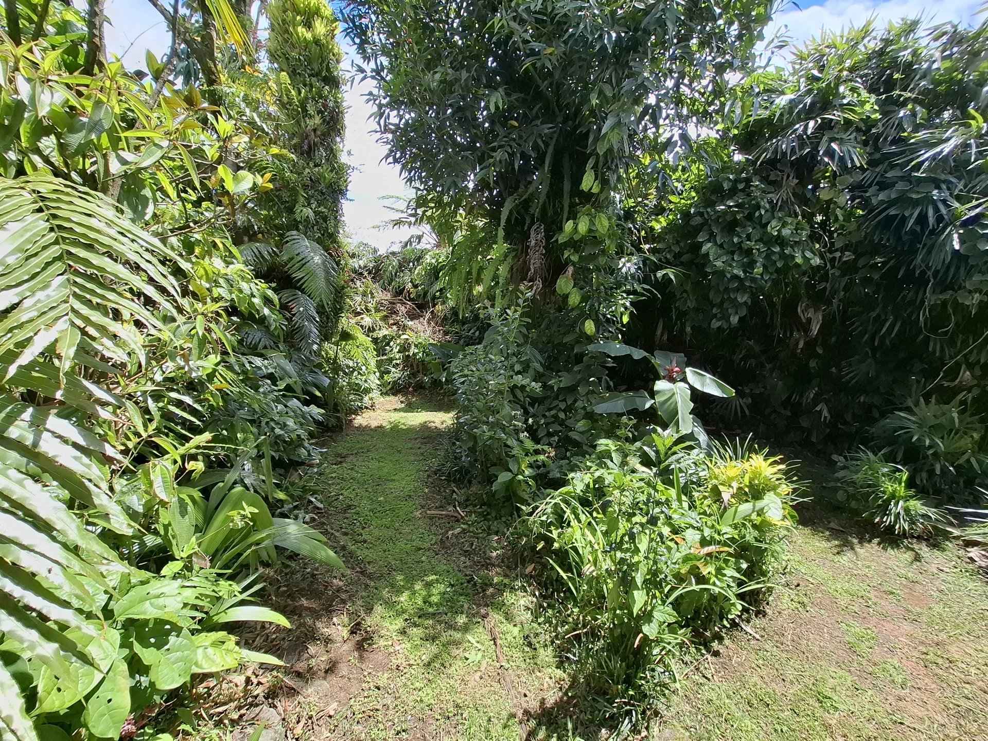 Adc077c933ed5379127f969498c9fe7e a101b6ba64 1920 original - Translation missing: en.helpers.application.image_tag.default_alt