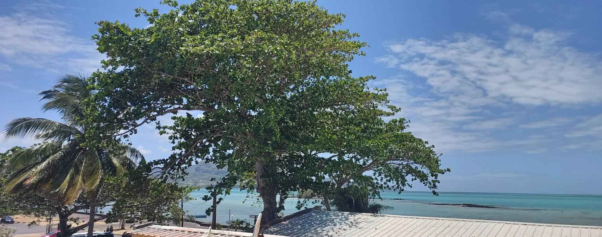 A6724698d7f7396243497ca33c8b65ac 53c0280c42 1920 original - Attribut alt par défaut.