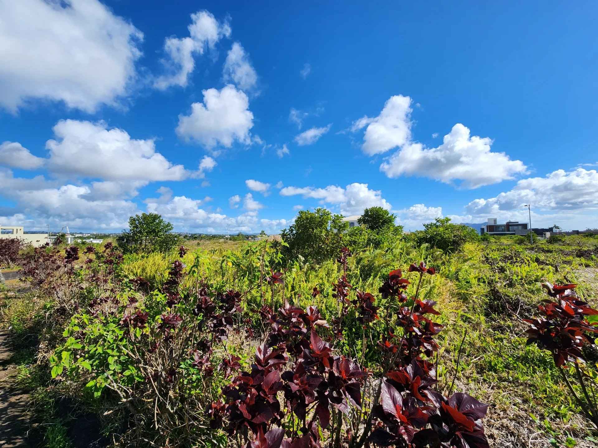 556e8226b3d167f416499d8c921cabf9 a2a0a09f6d 1920 original - Translation missing: en.helpers.application.image_tag.default_alt