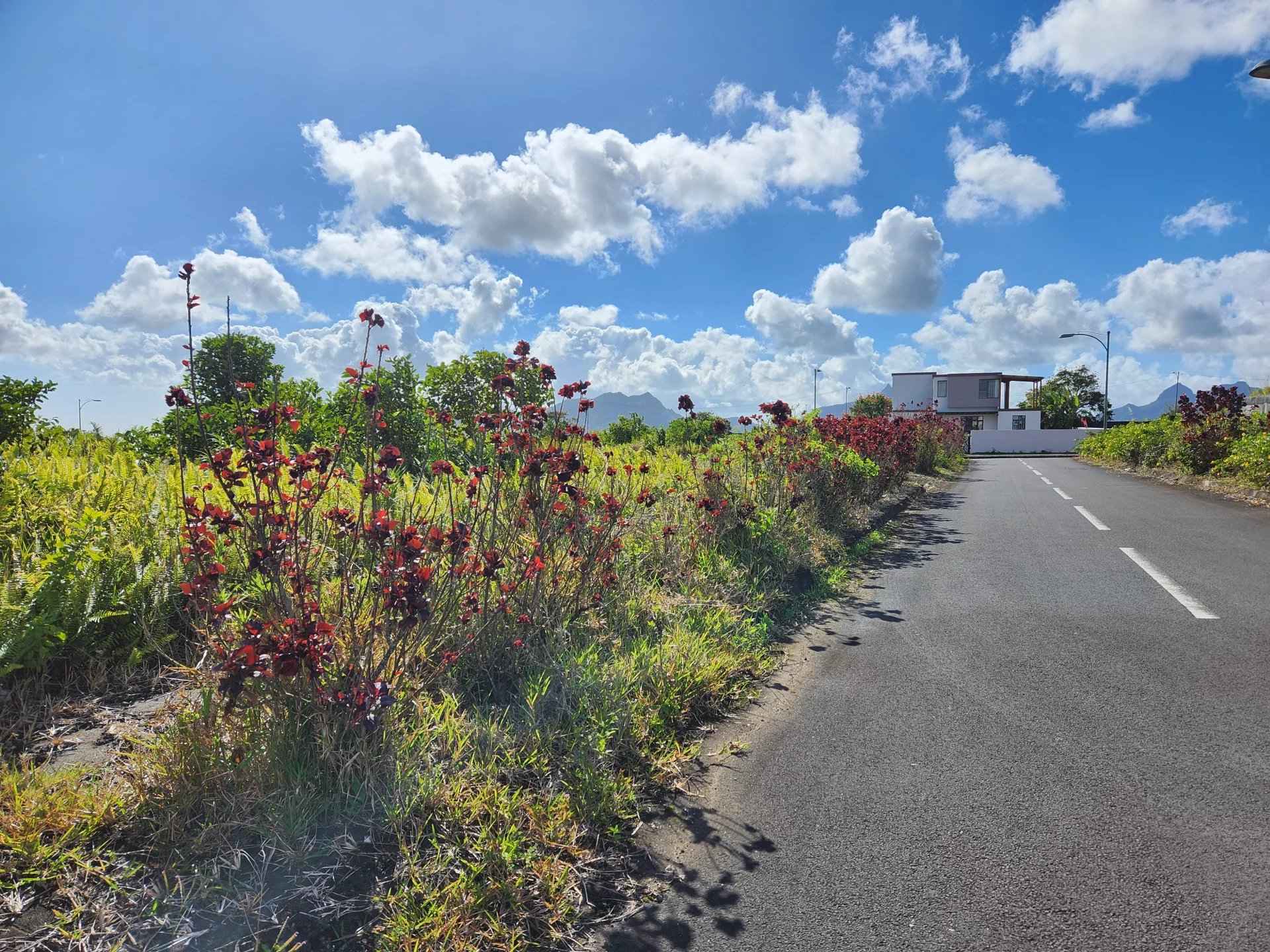 C87e43489e09b049744112d7e0bae222 c4875c8943 1920 original - Translation missing: en.helpers.application.image_tag.default_alt