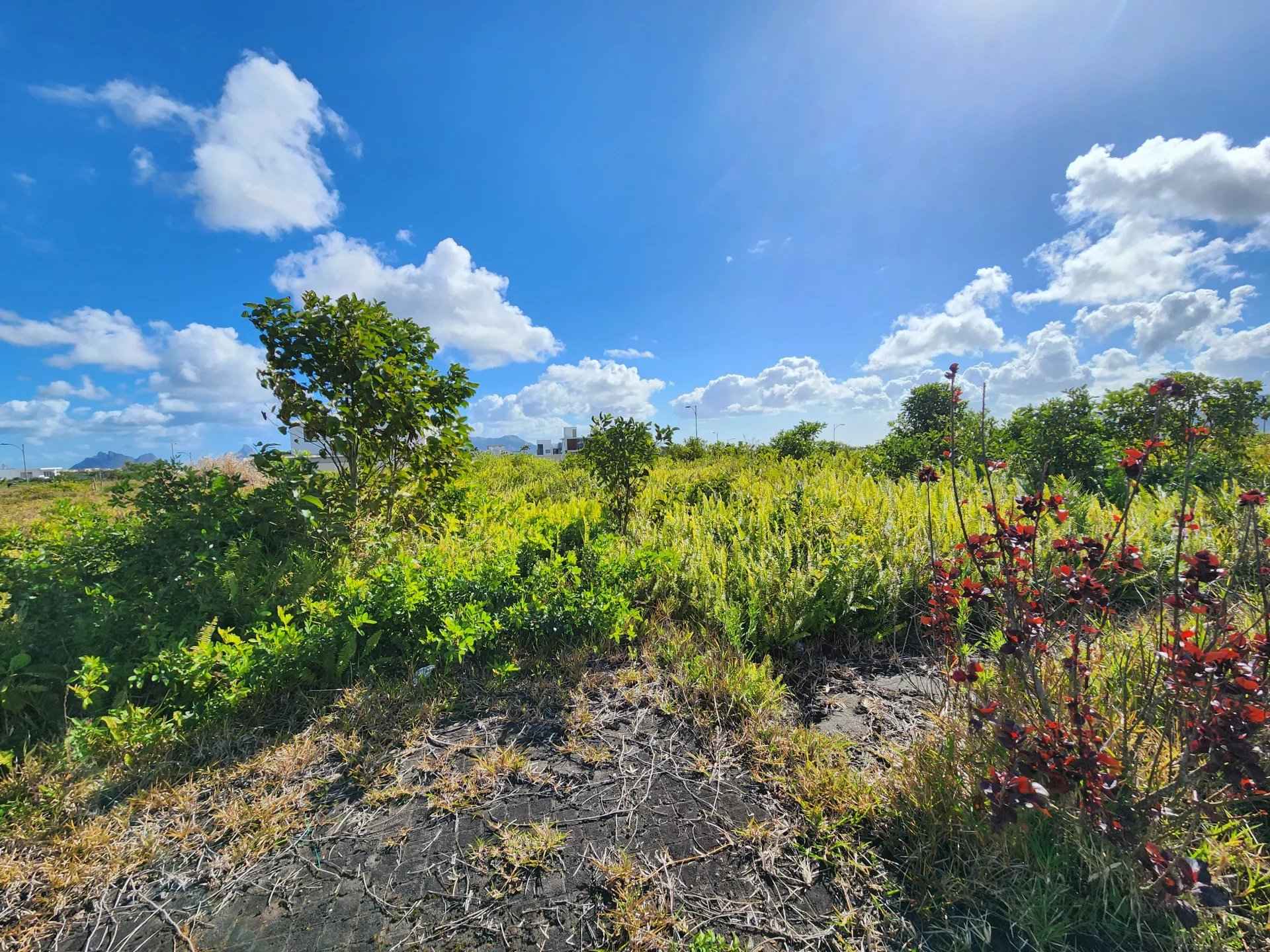 0705a2958390c0dfcd5352fec800a6d5 d376f895f8 1920 original - Translation missing: en.helpers.application.image_tag.default_alt