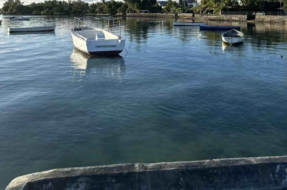 3012251baad4bb7ef3576aa8d91f5a98 ecbdd48ee1 988 original - Attribut alt par défaut.