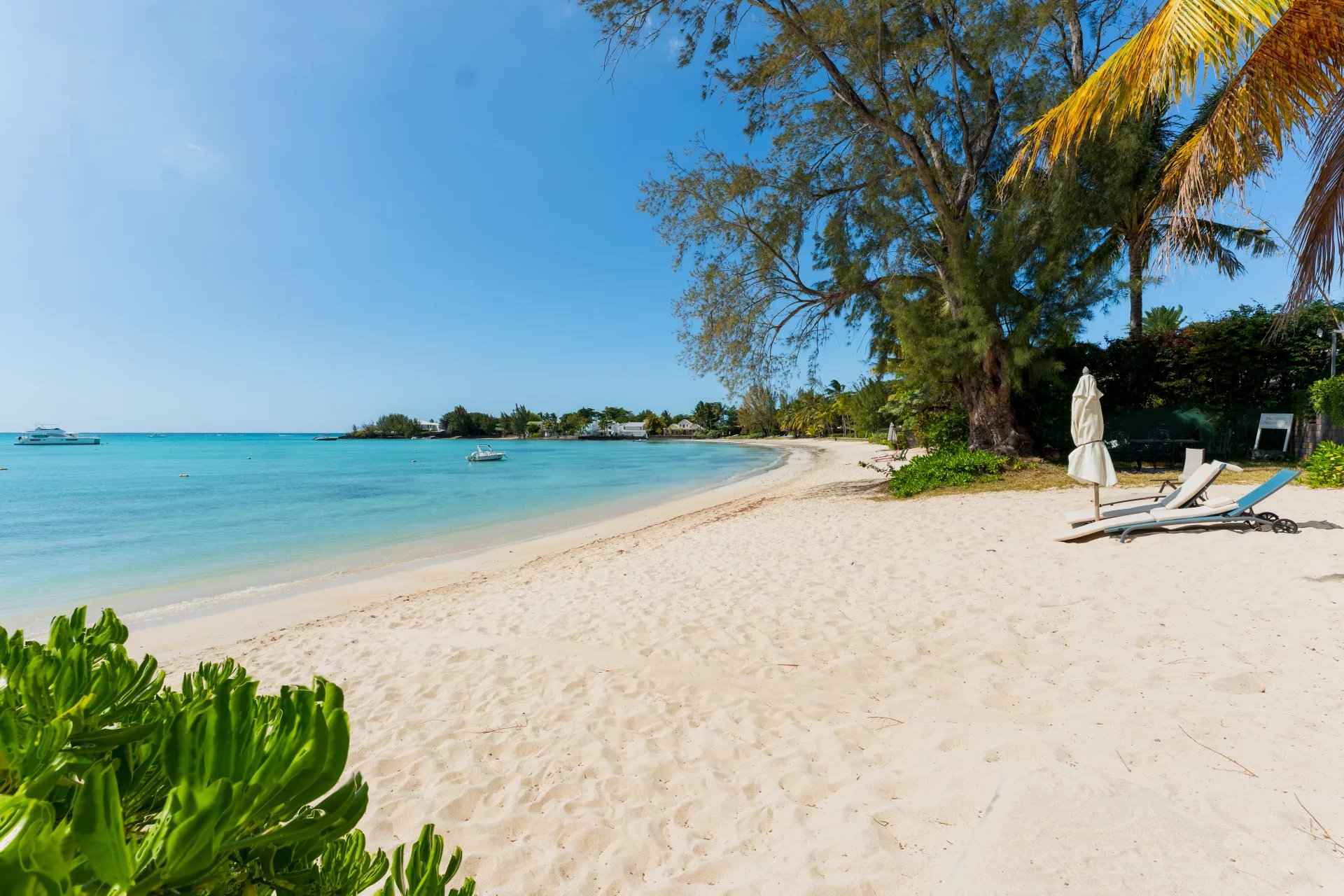 6bc9d00f2049c2d8d4c382de3c172c76 89877c1025 1920 original - Translation missing: en.helpers.application.image_tag.default_alt