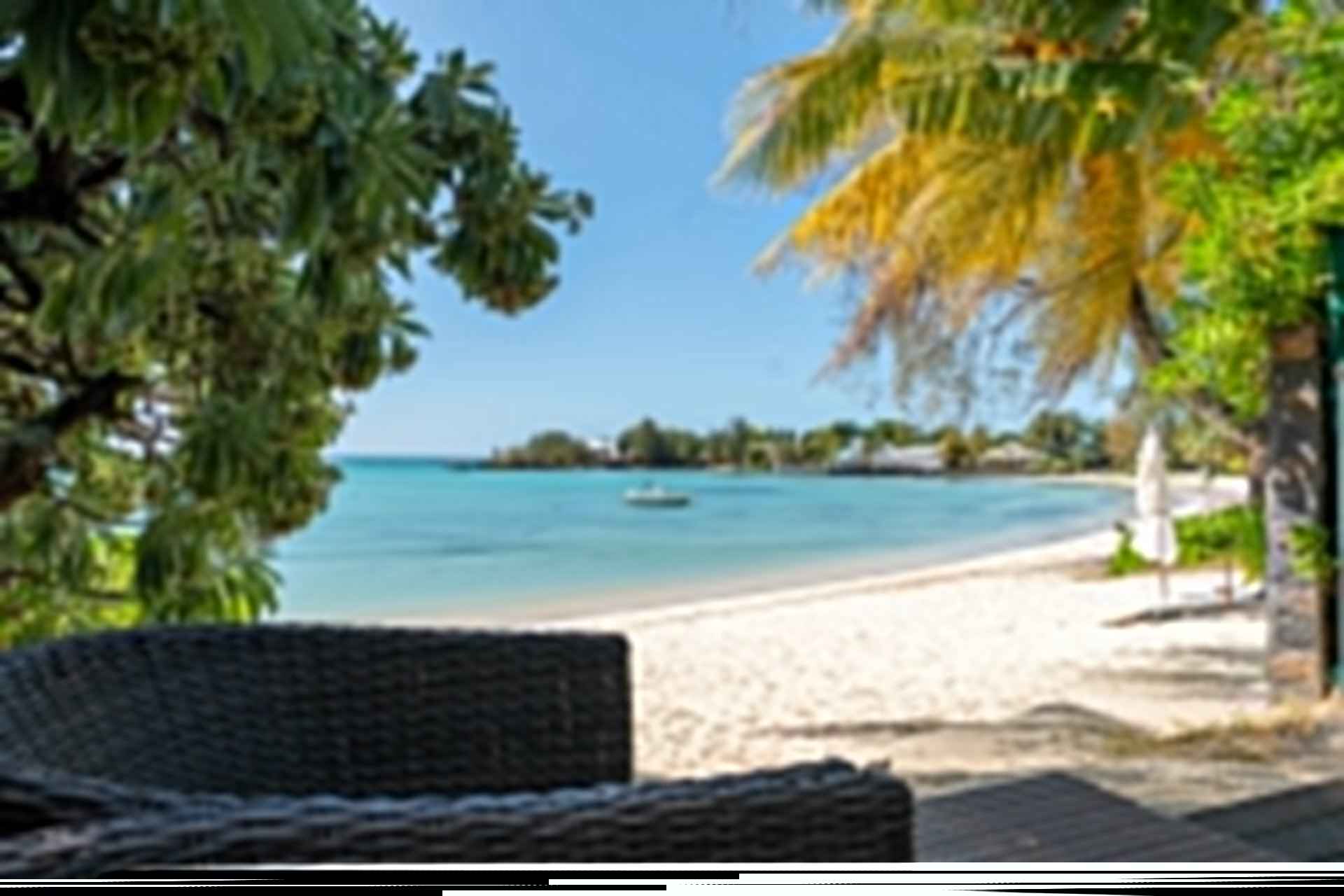 16c9e249b1580e844be3a0e45d0f14b5 c693d1d744 1920 original - Translation missing: en.helpers.application.image_tag.default_alt